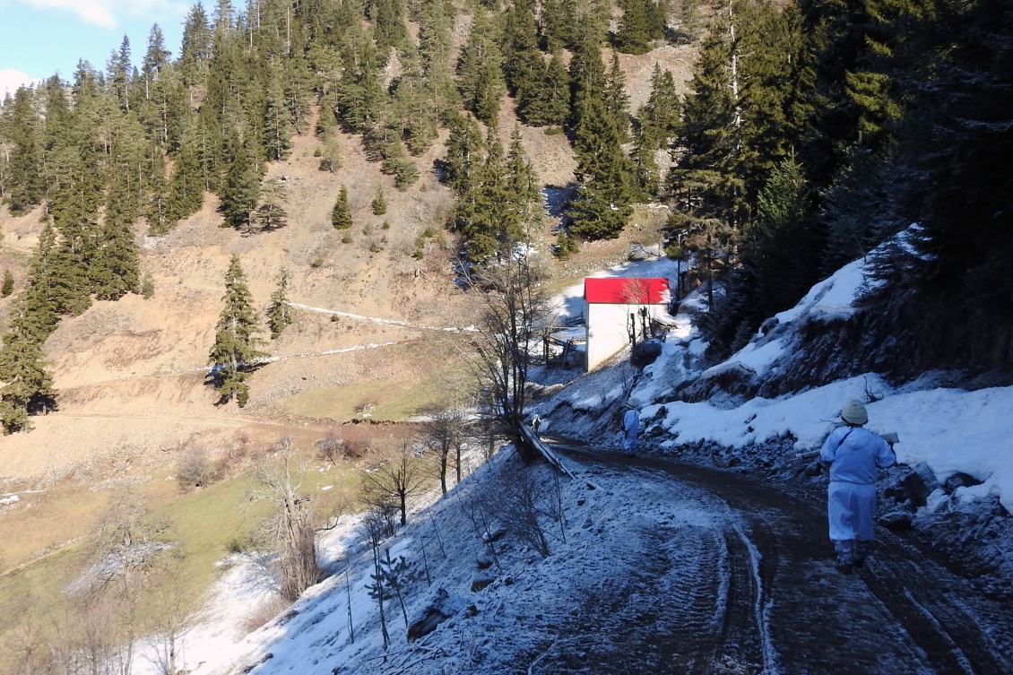 Gümüşhane yaylalarında terörle mücadele devam ediyor 11