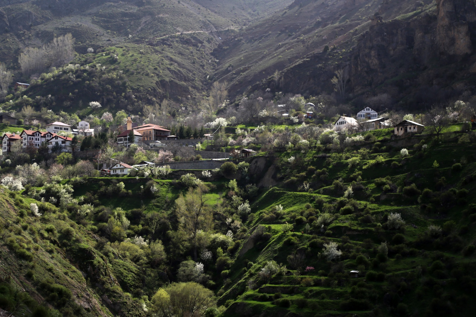 Tarihi mahalle bahar renklerine büründü, görsel şölen oluştu 3