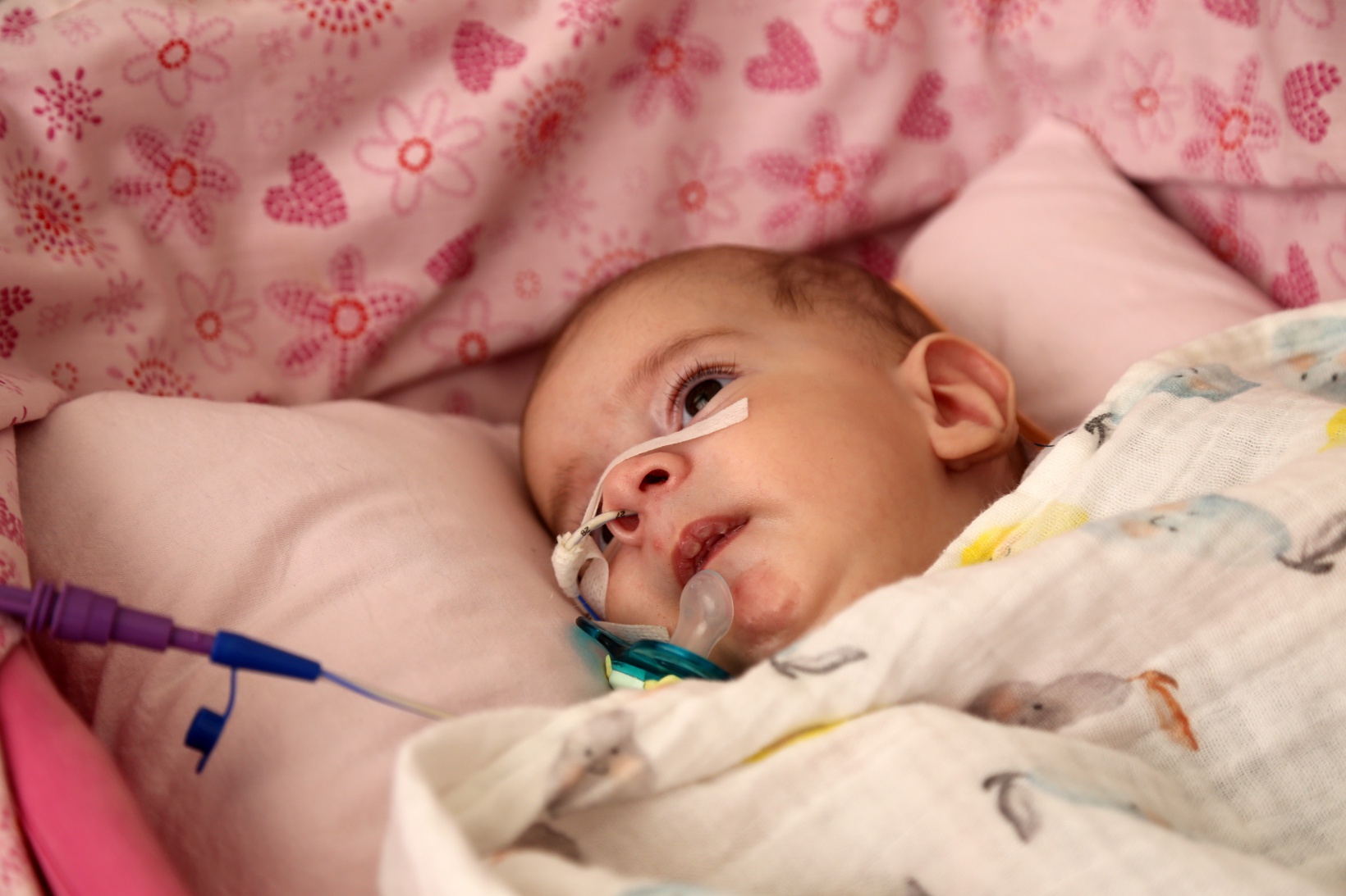 Gelin bu bayram Yunus Emre’ye nefes olalım 5