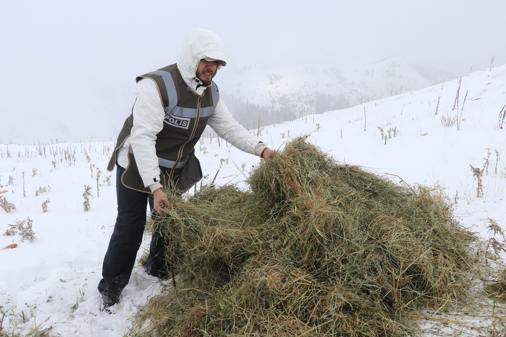 Zorlu yolları bu kez yaban hayvanları için aştılar 26