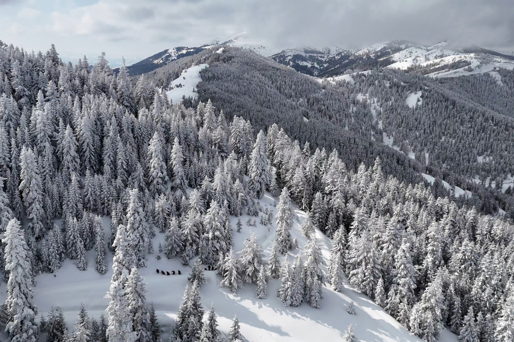 Gümüşhane'nin zirvelerinde kutupları aratmayan yürüyüş 61