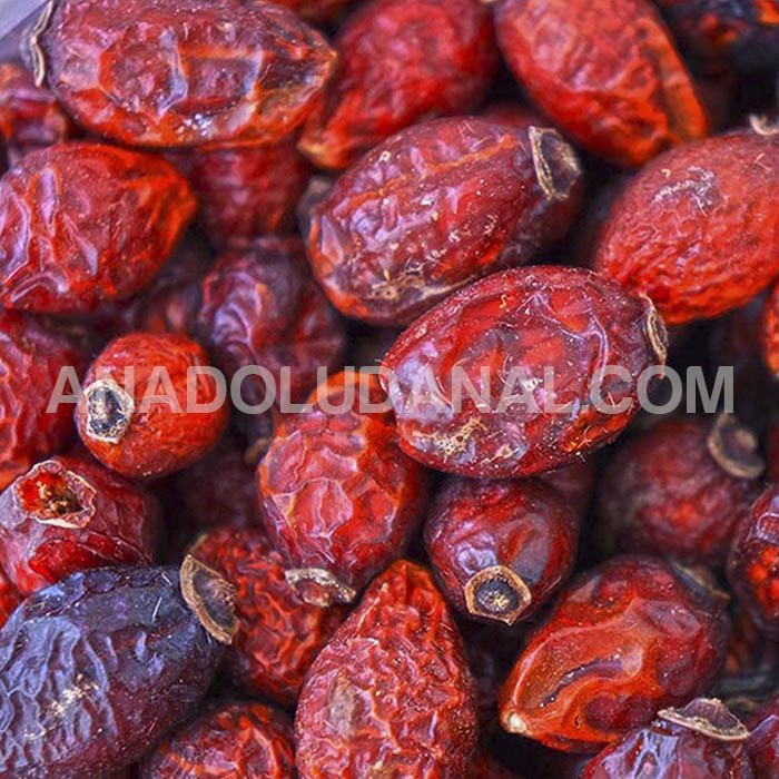 Kelkit'in ilk ve tek online alışveriş sitesi açıldı 8