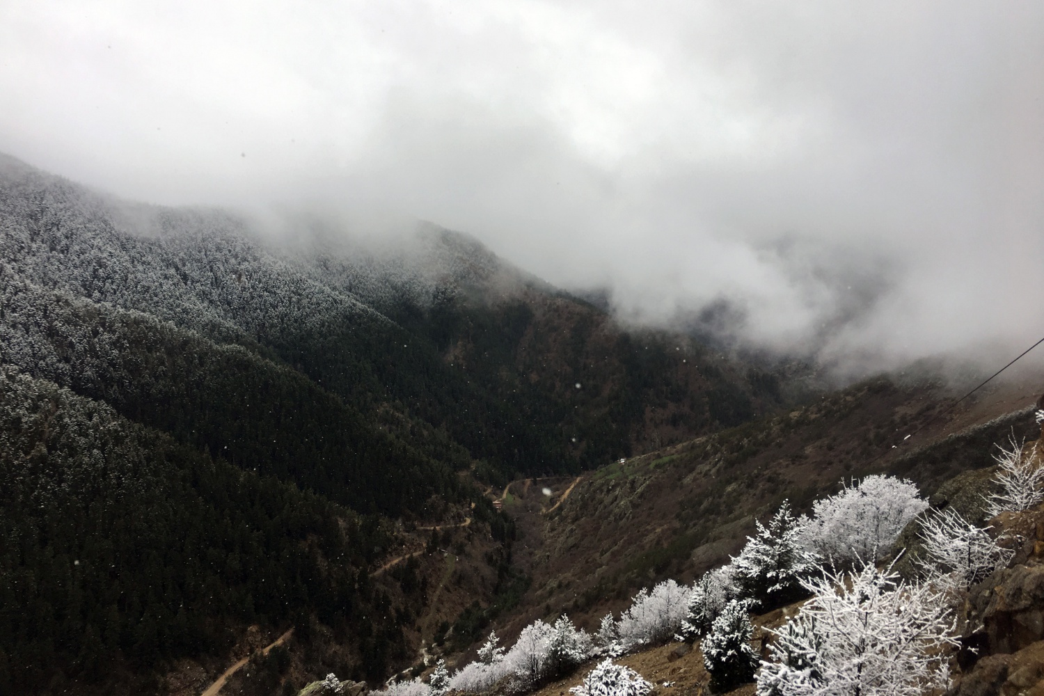 Gümüşhane’nin yüksekleri beyaza büründü 3