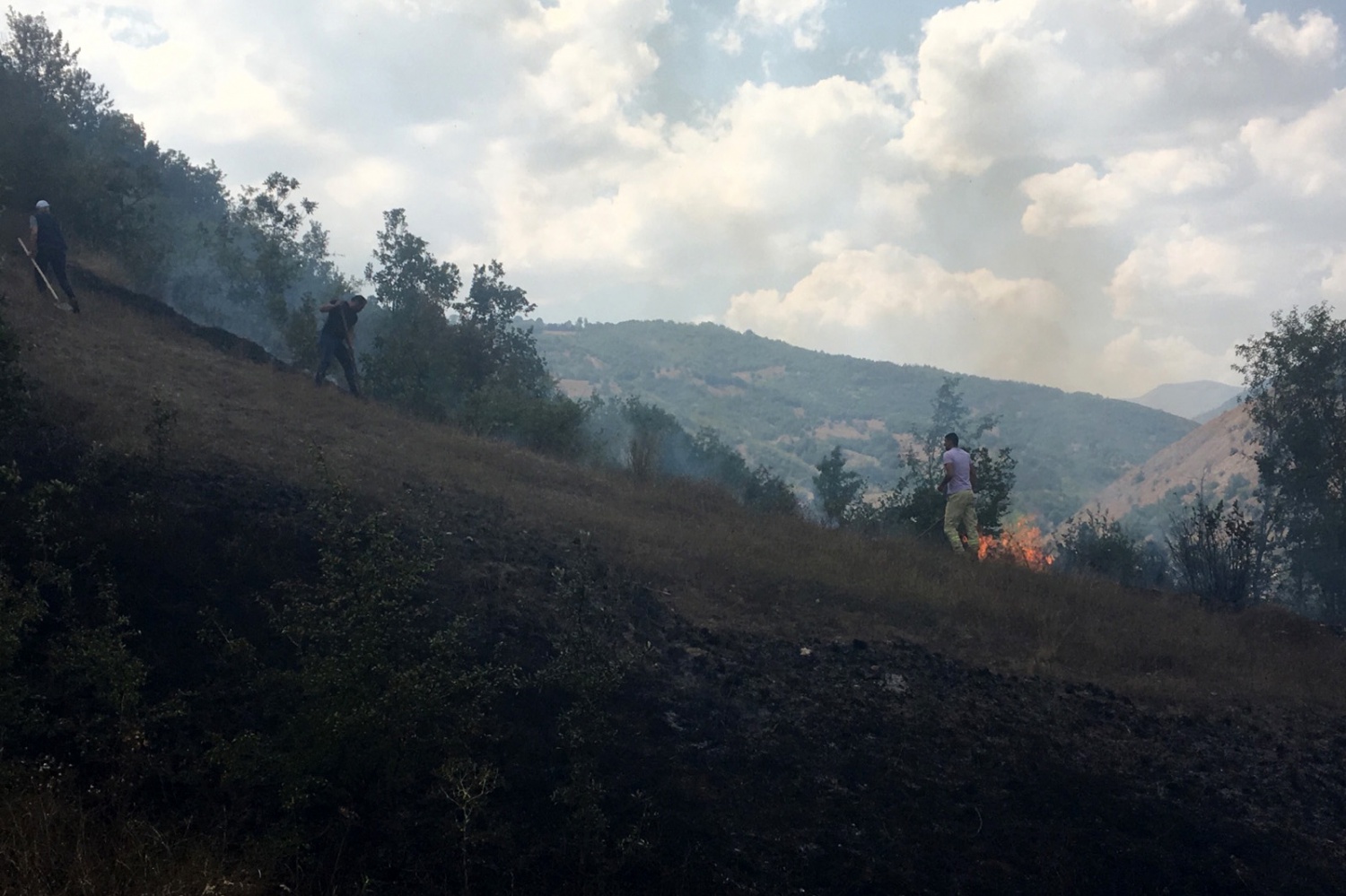 Gümüşhane’de örtü yangını 5