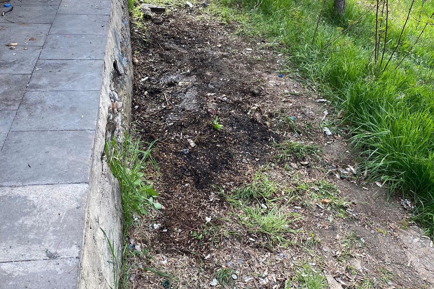 TEMA’dan Toprak Ana’ya Anneler Günü ziyareti 1