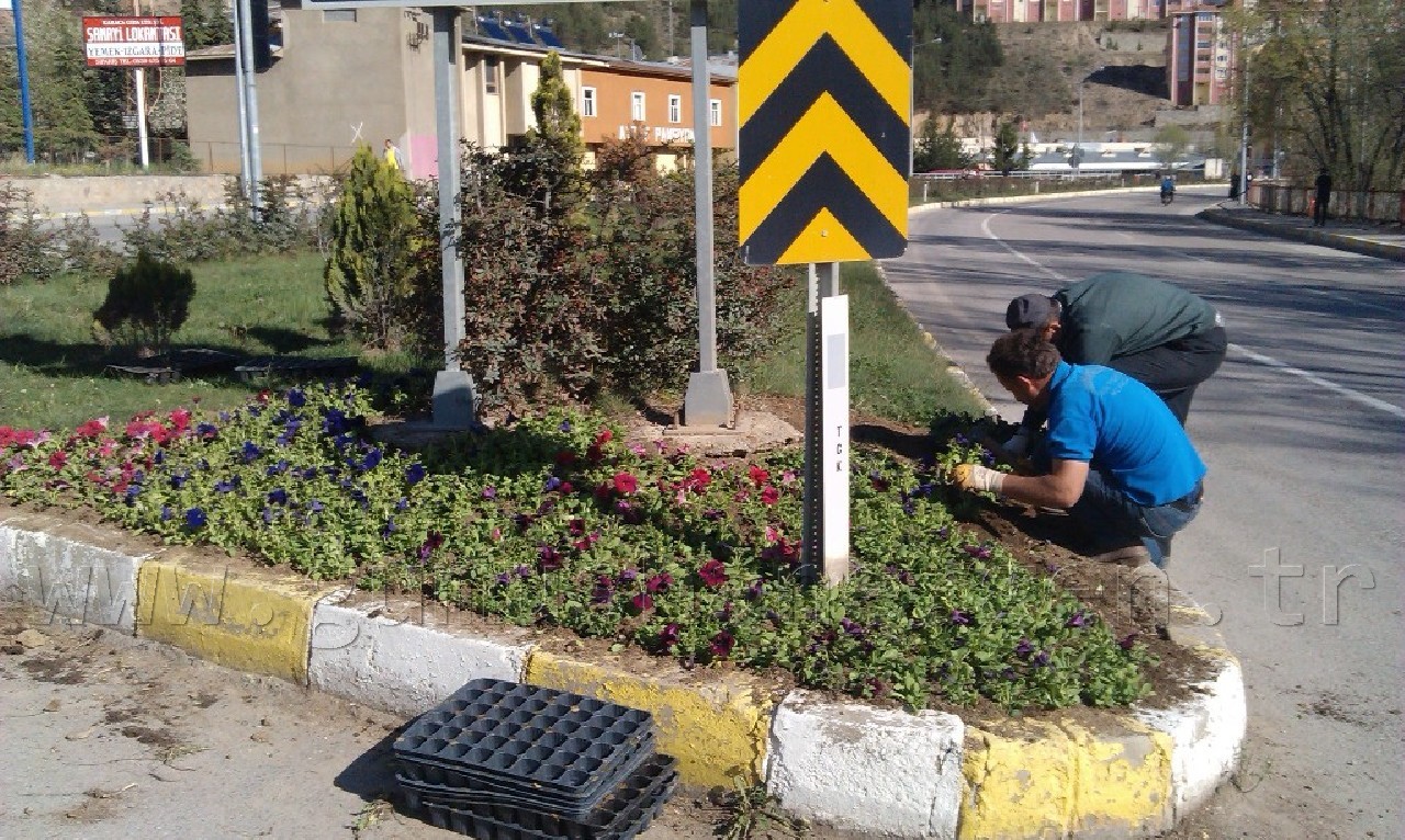 Gümüşhane'ye 50 Bin Çiçek 8