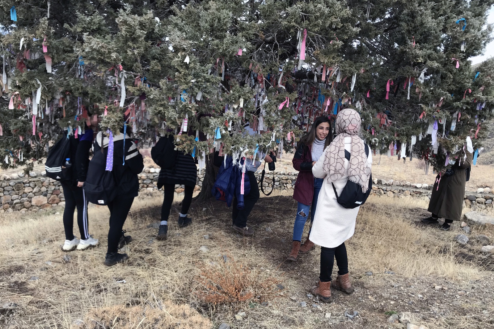 Gümüşhaneli dağcılardan Bayburt’ta doğa ve kültür dolu yürüyüş 23