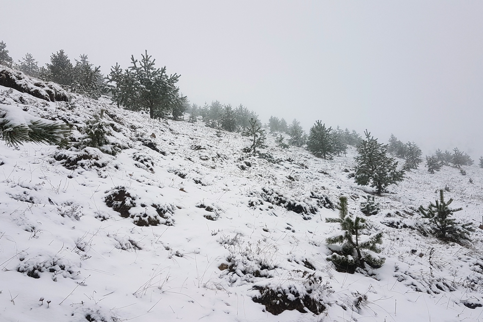Gümüşhane'nin yüksek kesimlerinde kar yağışı başladı 9