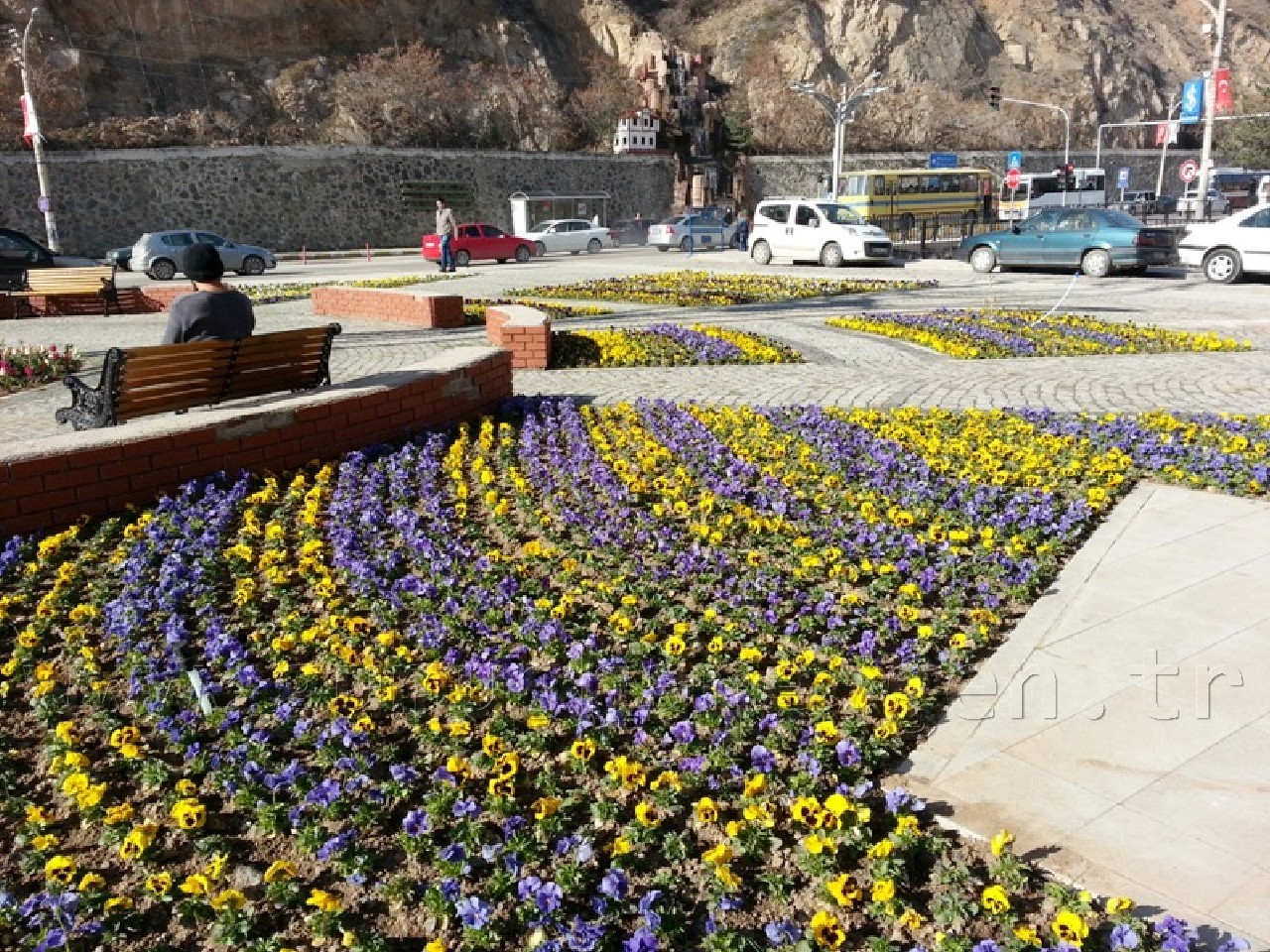 Gümüşhane'de Rengarenk Çiçeklerle Erken Bahar Havası 6