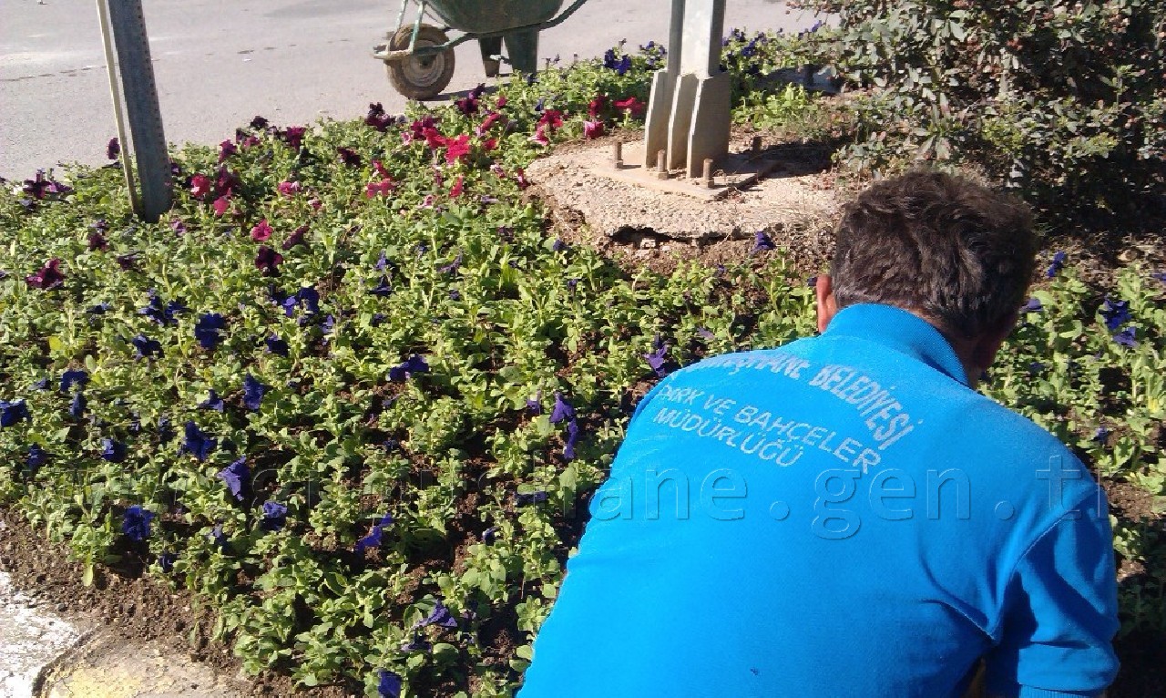 Gümüşhane'ye 50 Bin Çiçek 9