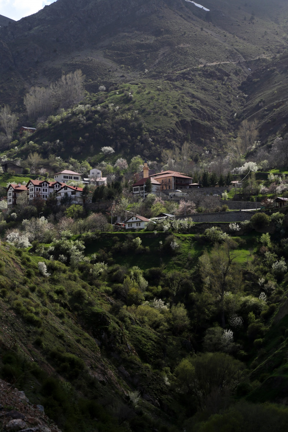 Tarihi mahalle bahar renklerine büründü, görsel şölen oluştu 10