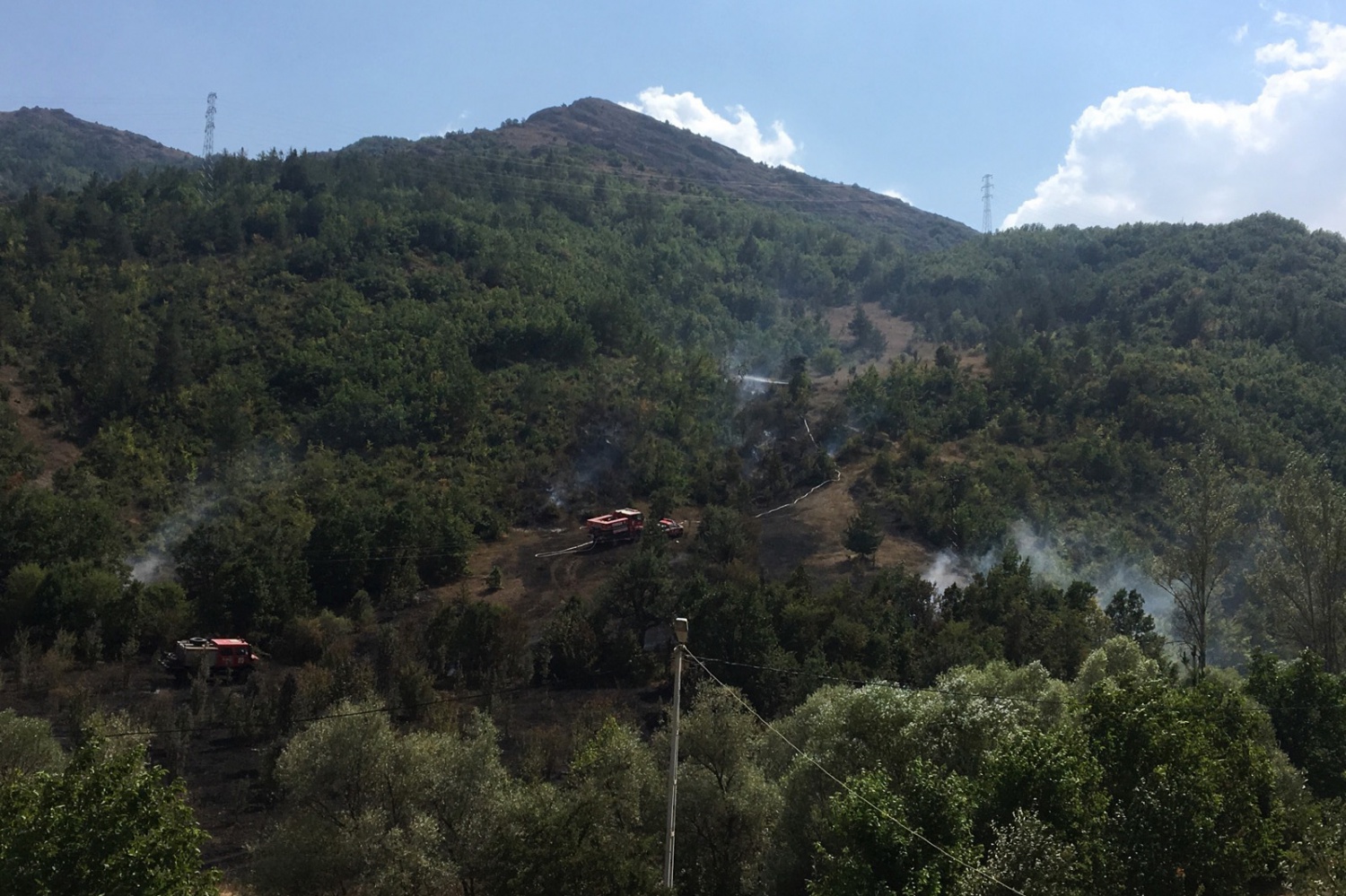 Gümüşhane’de örtü yangını 2