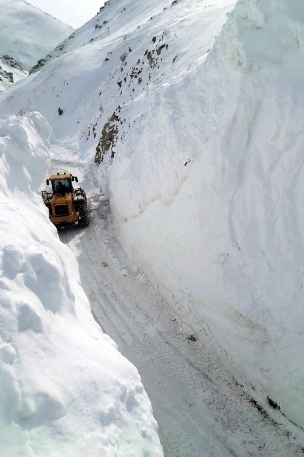 Gümüşhane'de 7 kez çığ düşen köy yolu ulaşıma açıldı 2