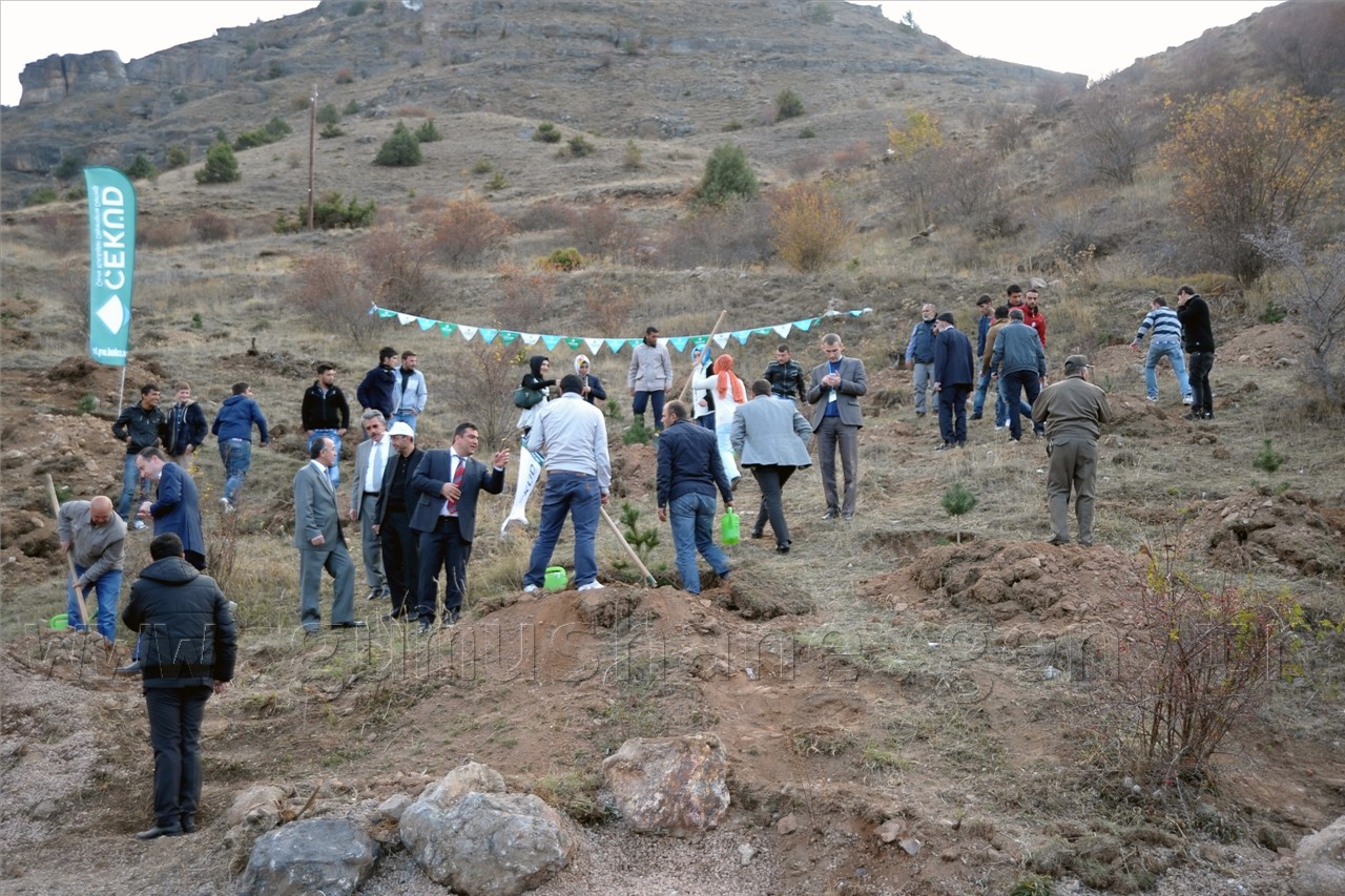 ÇEKÜD'den Süleymaniye'ye 700 Fidan 4