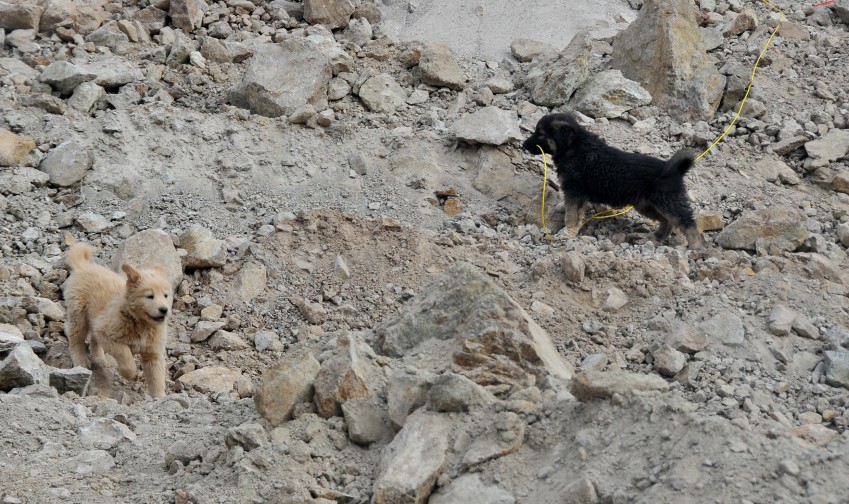 Patlama Anı Kameralara Böyle Yansıdı 5