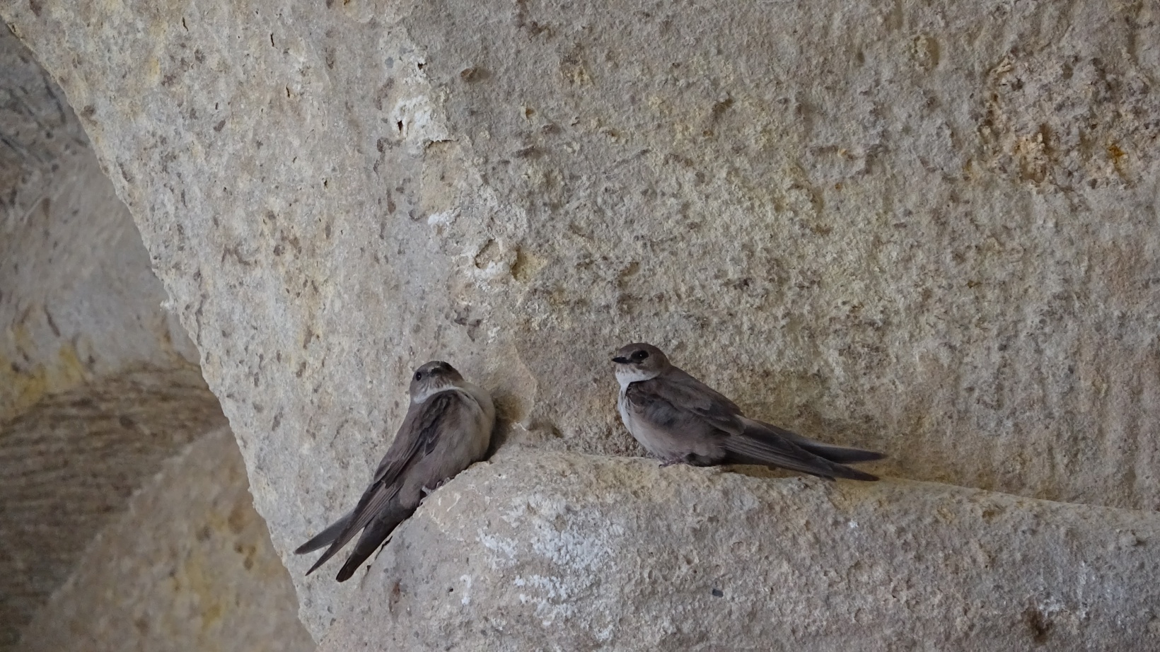 Gümüşhane’nin Sümela’sı: Çakırkaya Manastırı 7