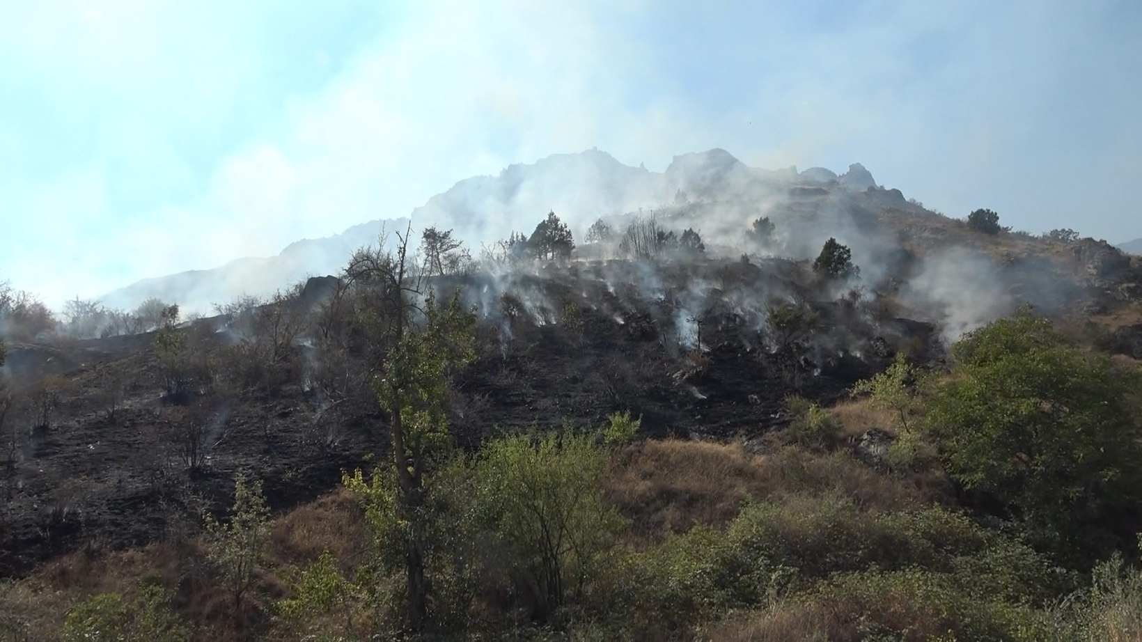 Gümüşhane’de örtü yangını: 2 hektarlık alan küle döndü  13