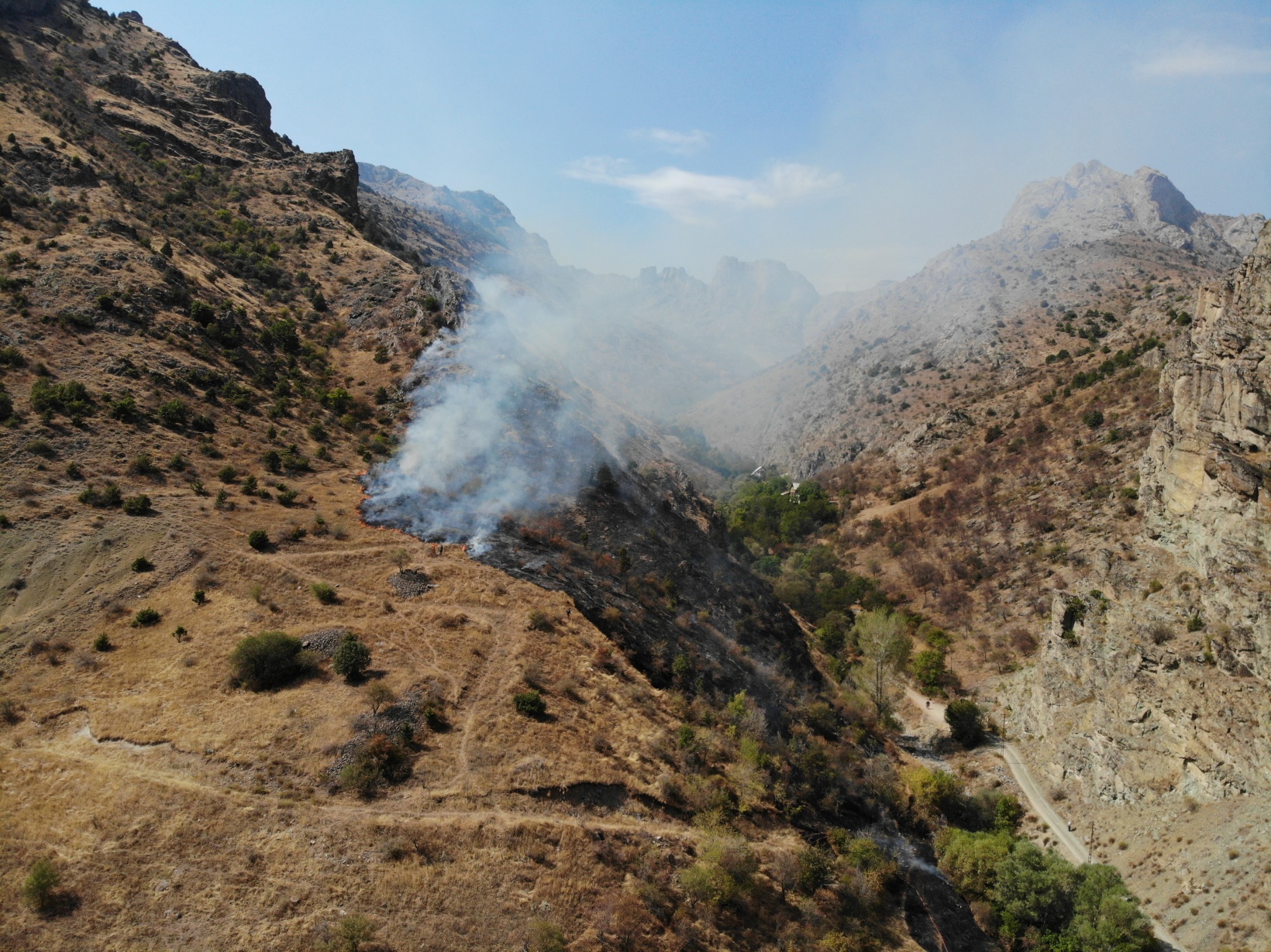 Gümüşhane’de örtü yangını: 2 hektarlık alan küle döndü  14