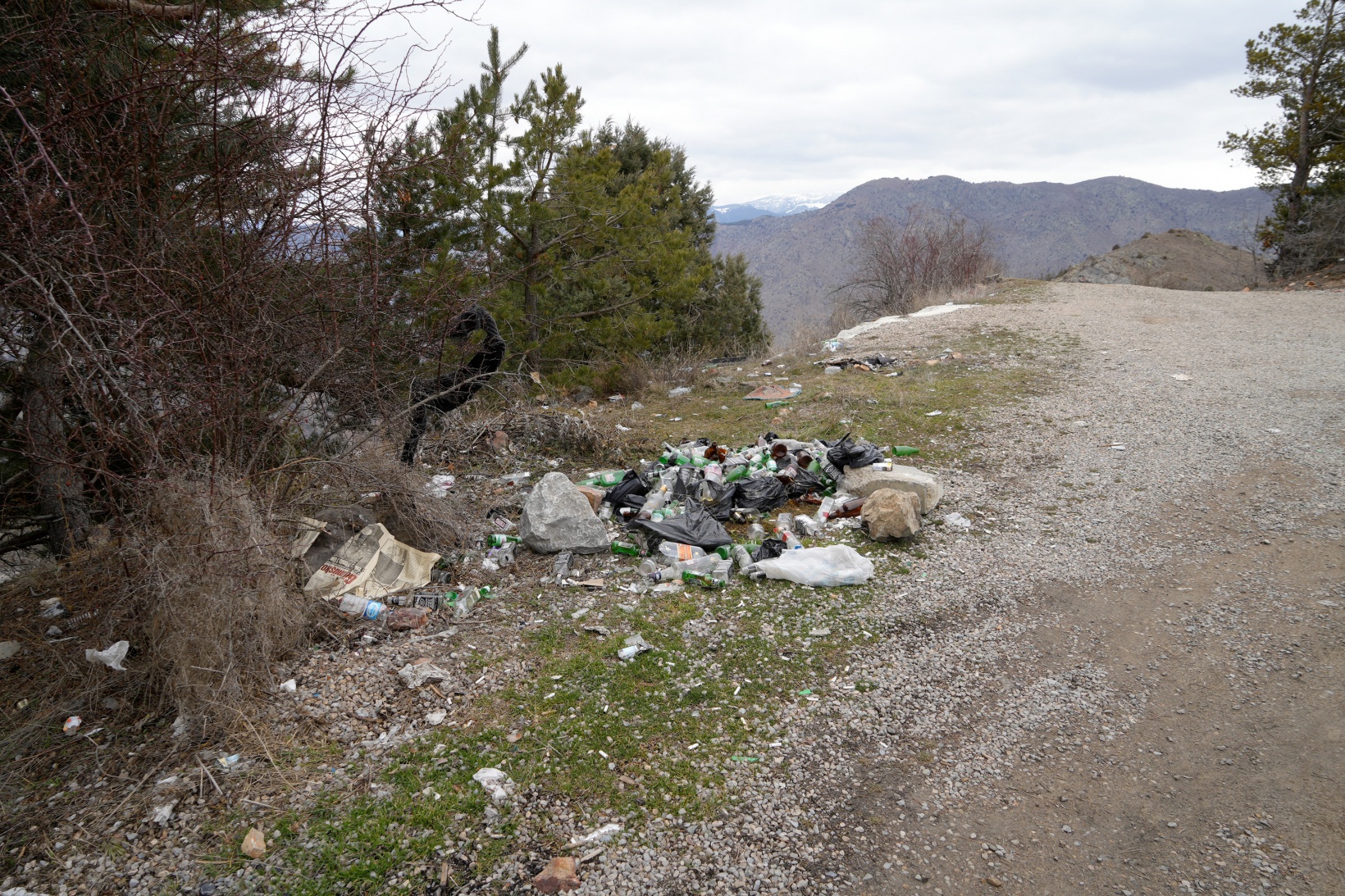 Gümüşhane’de ormanı çöplüğe döndürdüler 8