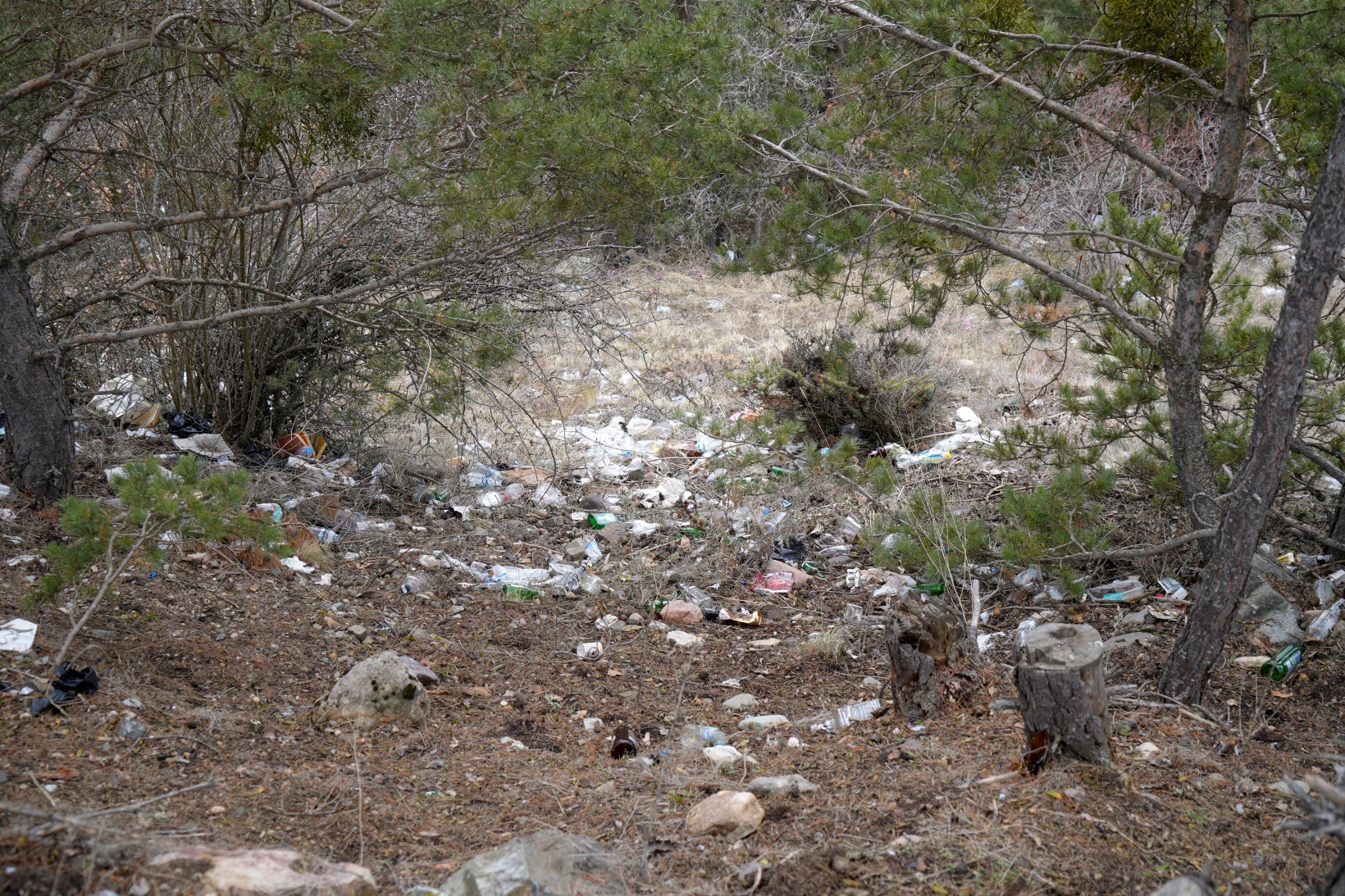 Gümüşhane’de ormanı çöplüğe döndürdüler 6