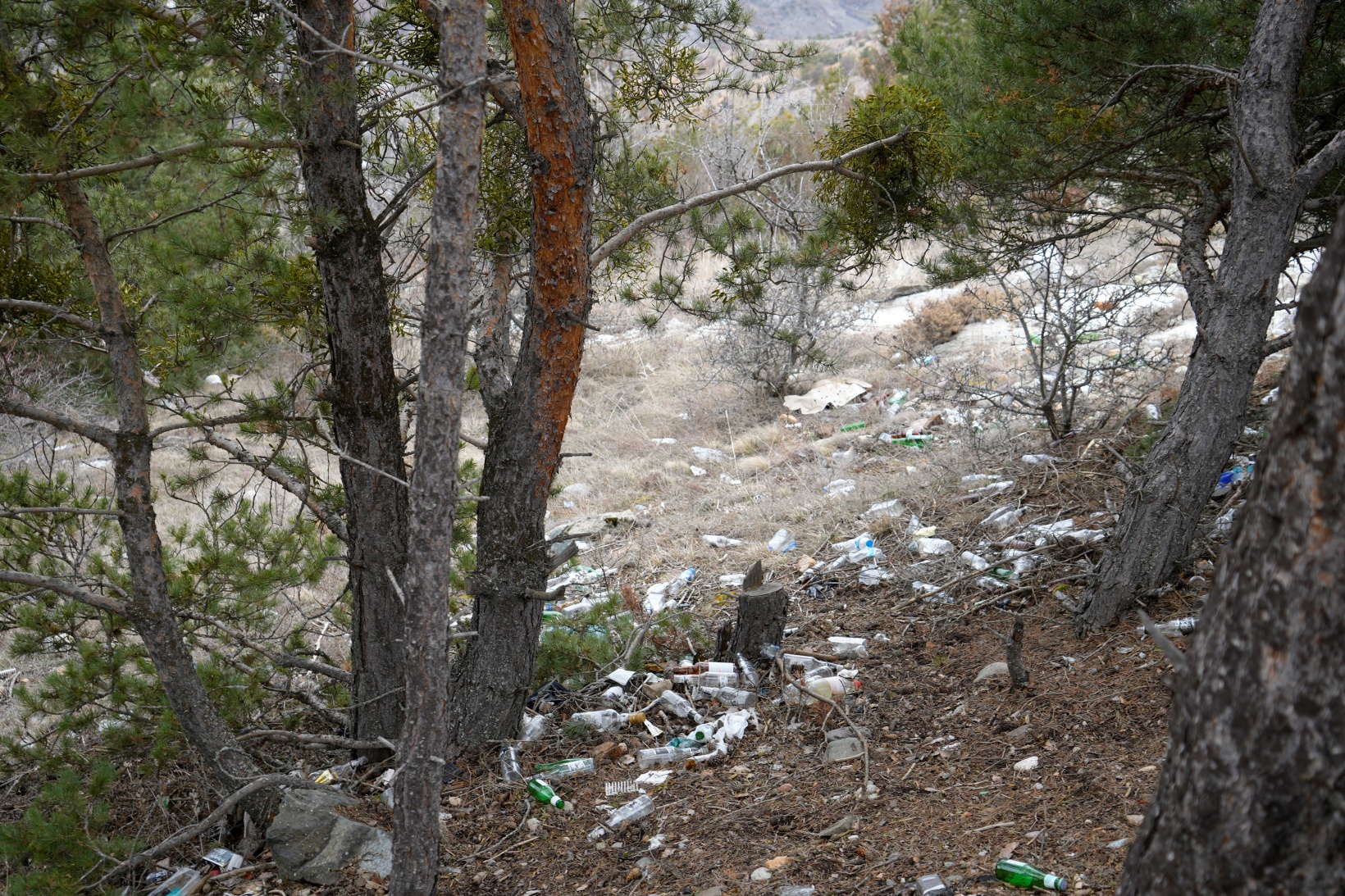 Gümüşhane’de ormanı çöplüğe döndürdüler 9