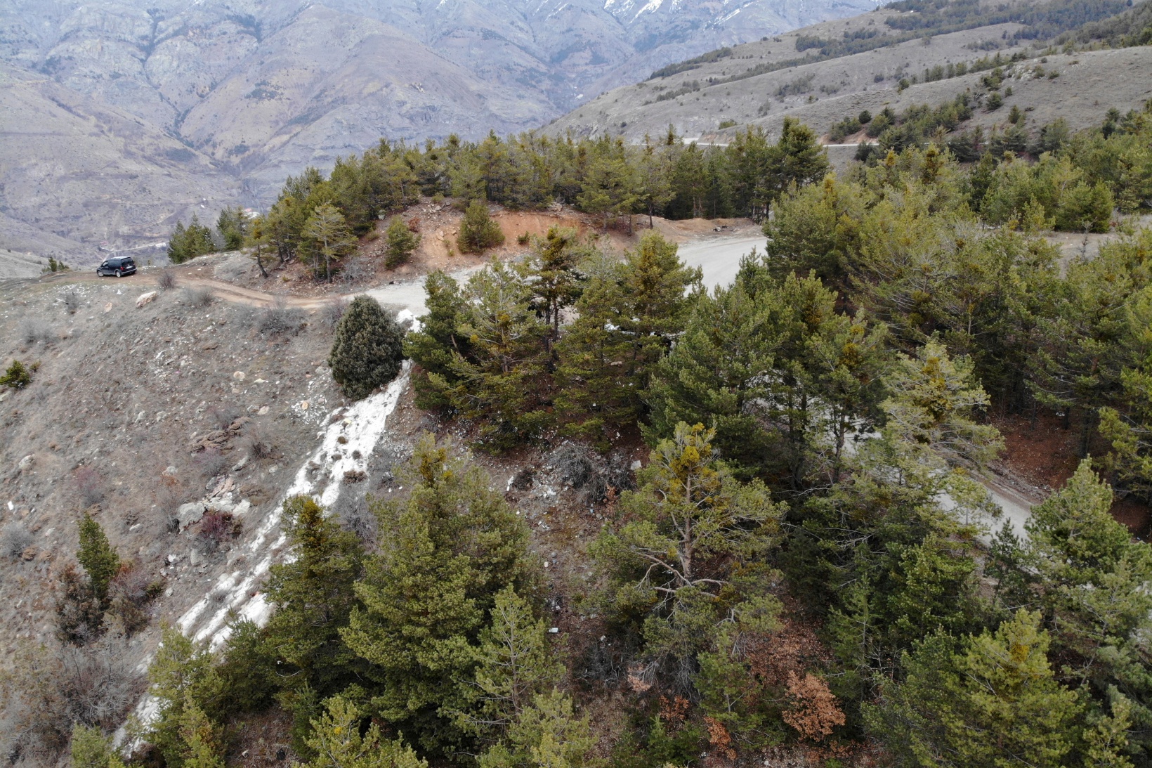 Gümüşhane’de ormanı çöplüğe döndürdüler 4