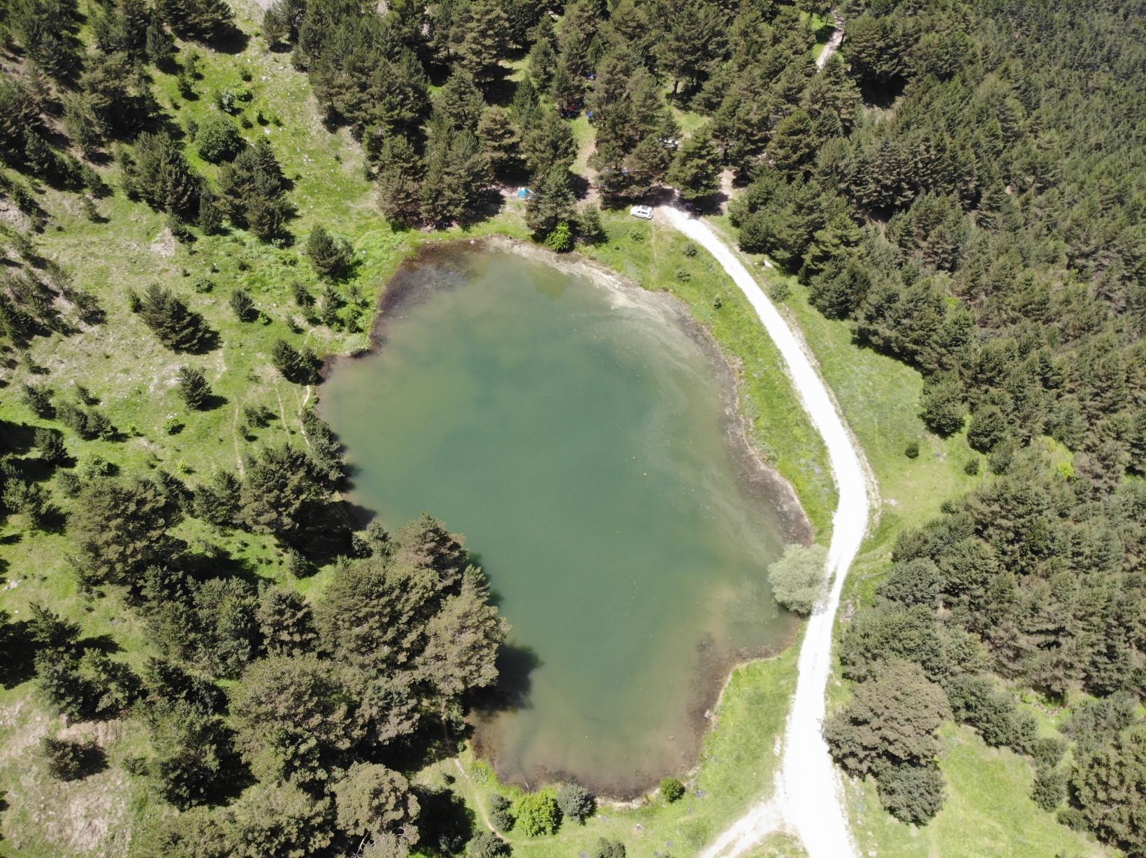 Altınpınar Limni Gölü el değmemiş doğasıyla hayran bırakıyor 3