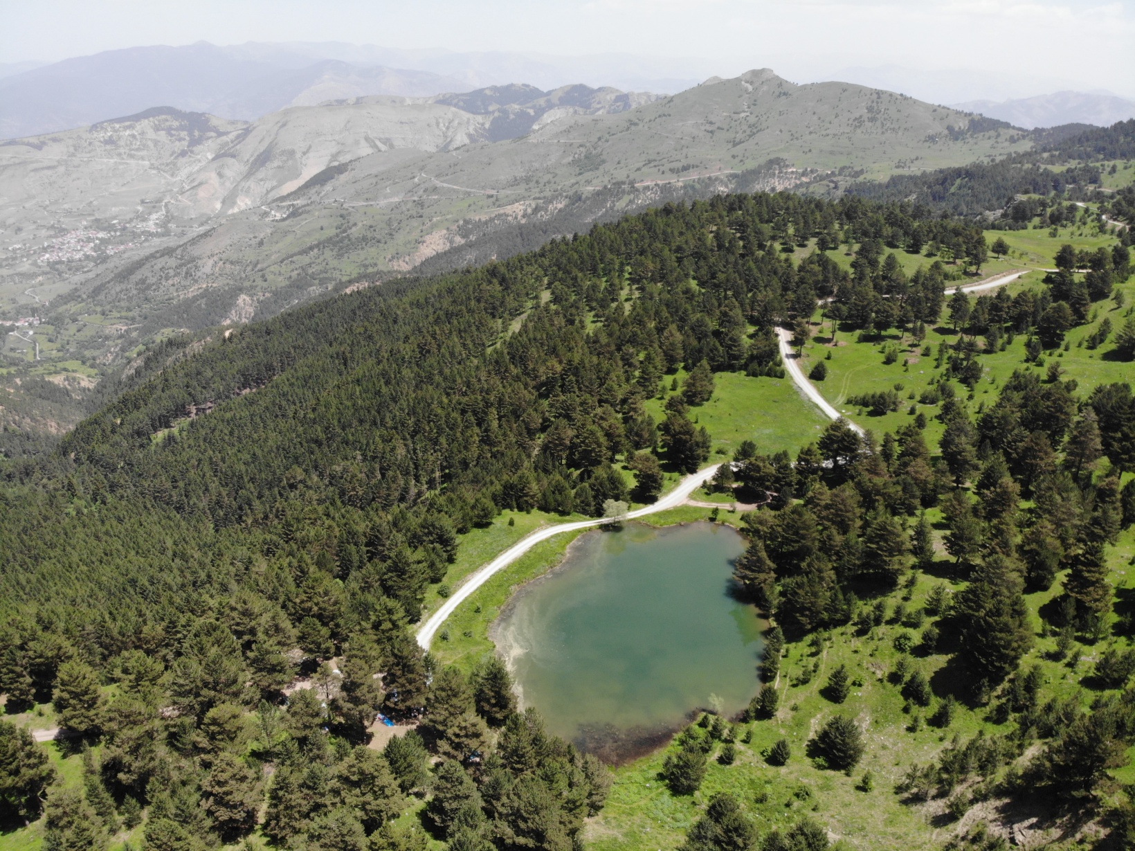Altınpınar Limni Gölü el değmemiş doğasıyla hayran bırakıyor 1