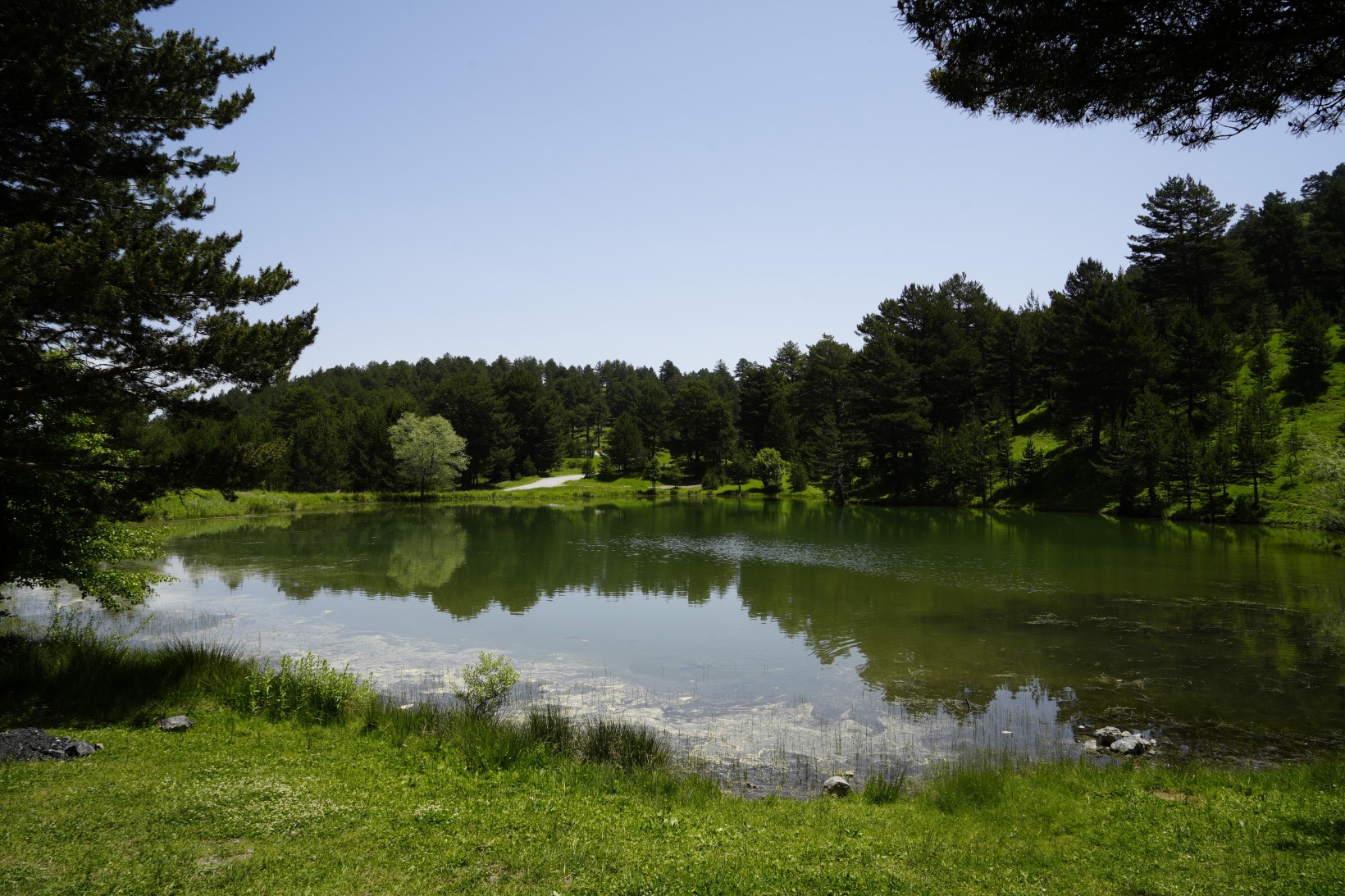 Altınpınar Limni Gölü el değmemiş doğasıyla hayran bırakıyor 5