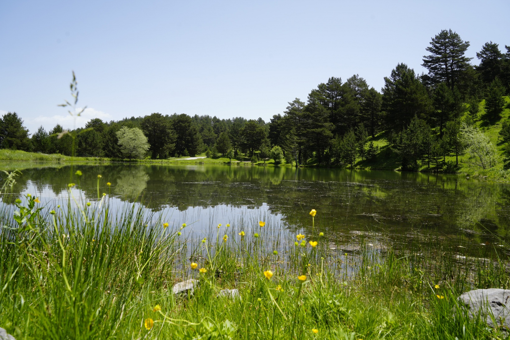 Altınpınar Limni Gölü el değmemiş doğasıyla hayran bırakıyor 6