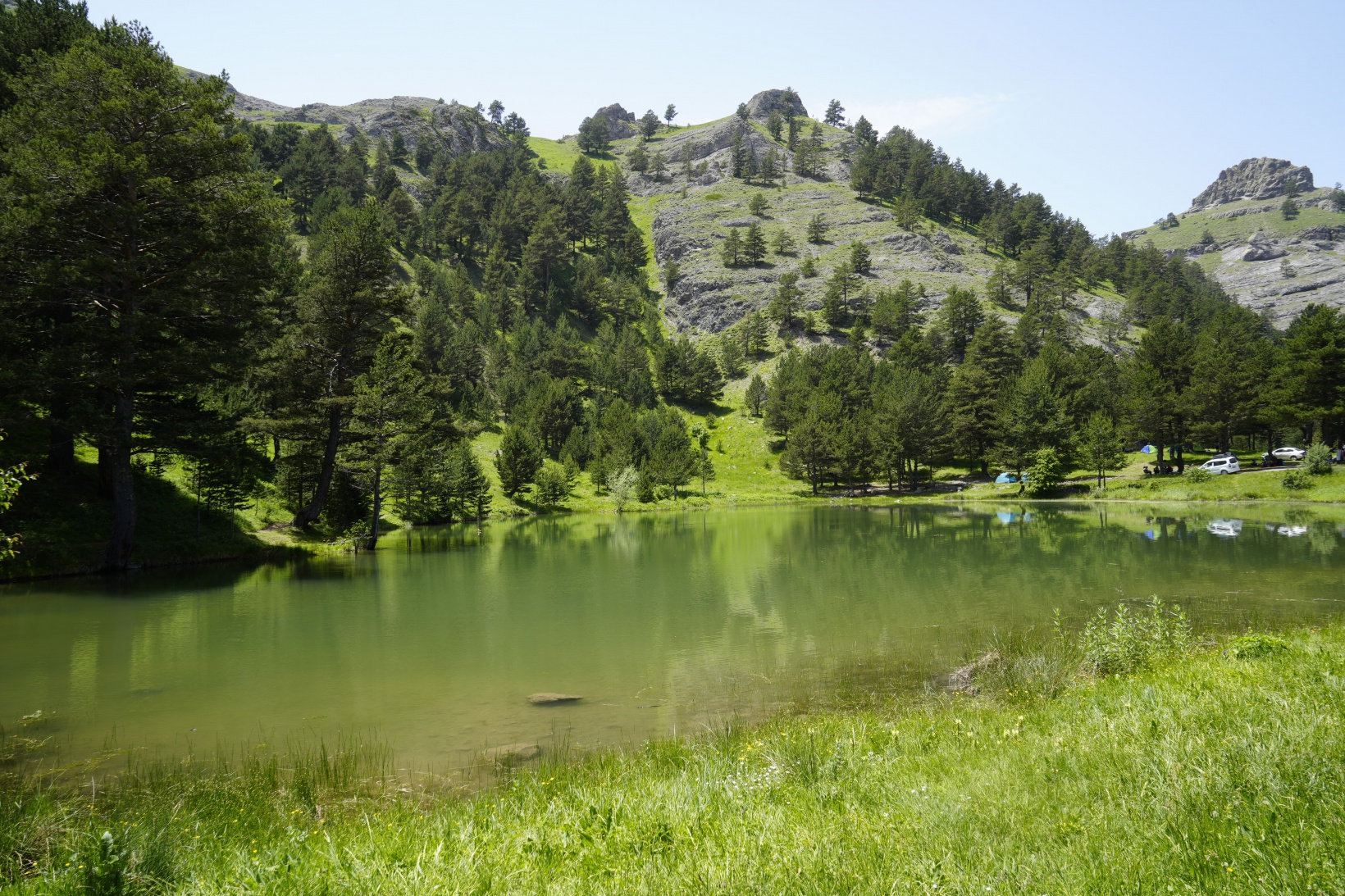 Altınpınar Limni Gölü el değmemiş doğasıyla hayran bırakıyor 4