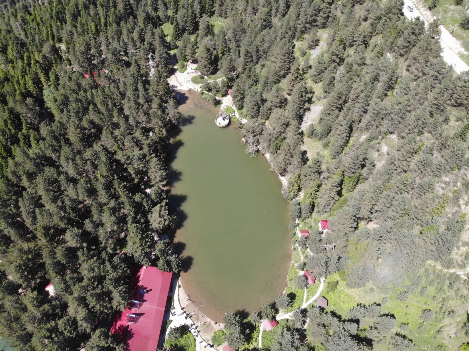 Zigana'nın serin sığınağı Limni Gölü ziyaretçilerini bekliyor 11