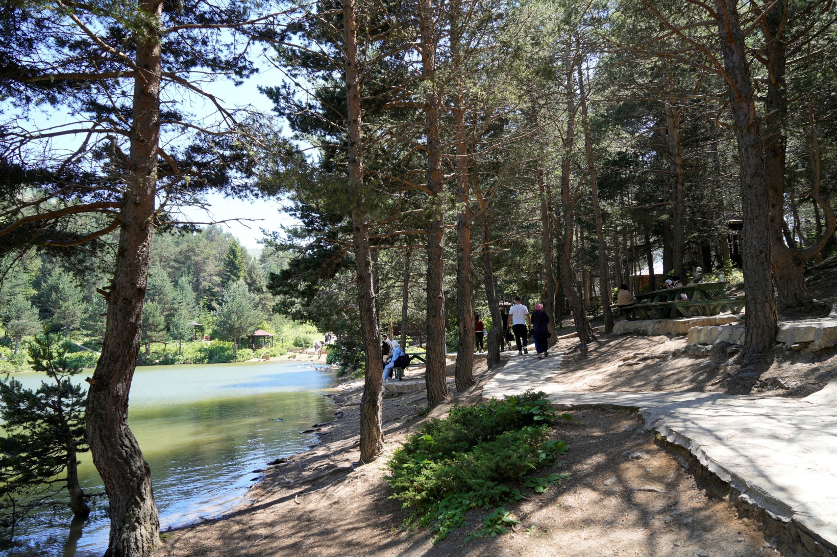 Zigana'nın serin sığınağı Limni Gölü ziyaretçilerini bekliyor 8