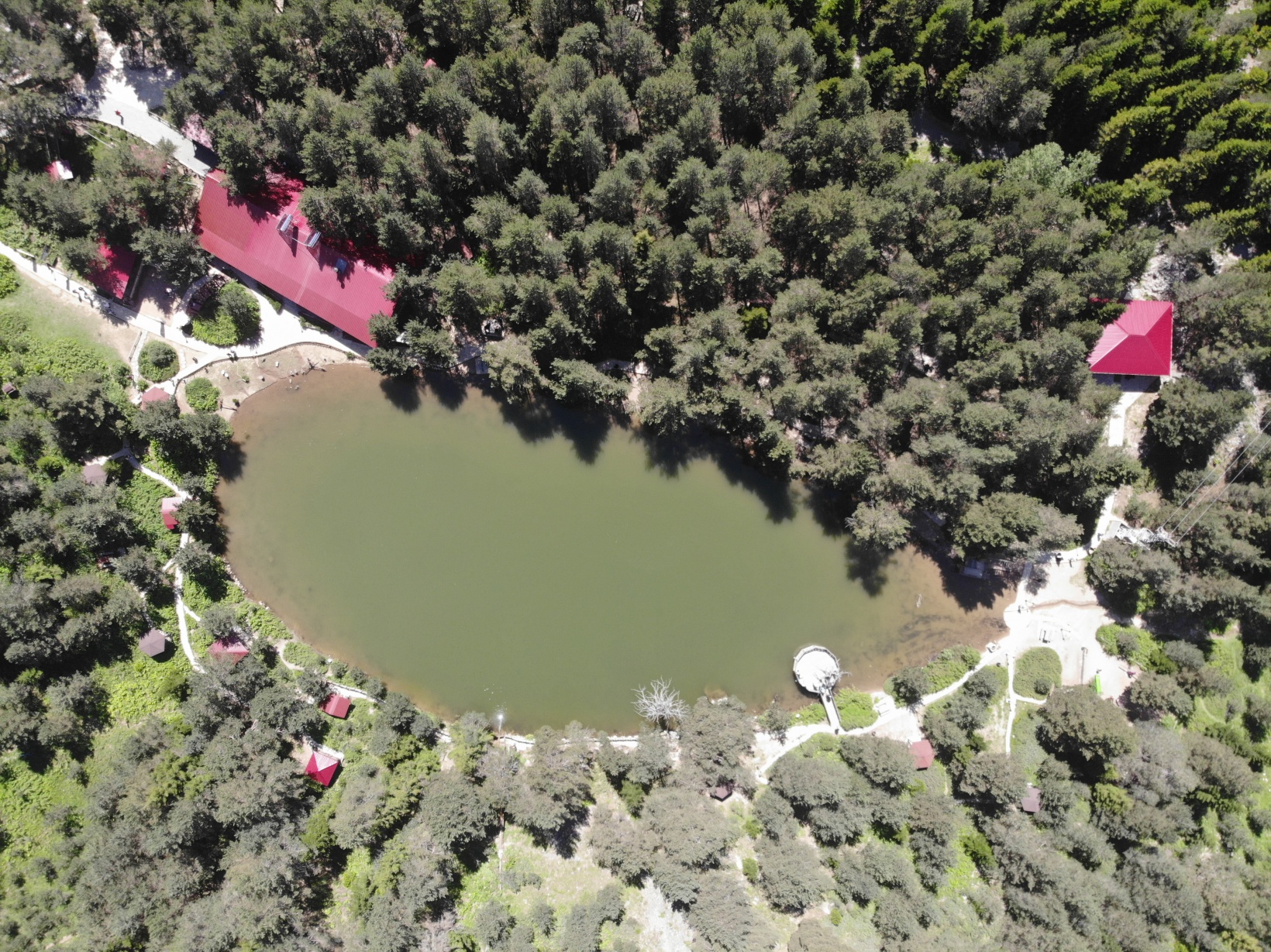 Zigana'nın serin sığınağı Limni Gölü ziyaretçilerini bekliyor 9