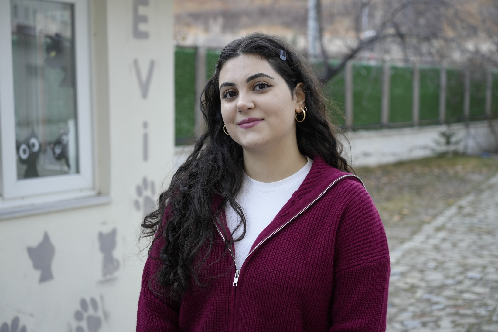 Gümüşhane'deki öğrenci yurdunun güvenlik kulübesi kedilere yurt oldu 6