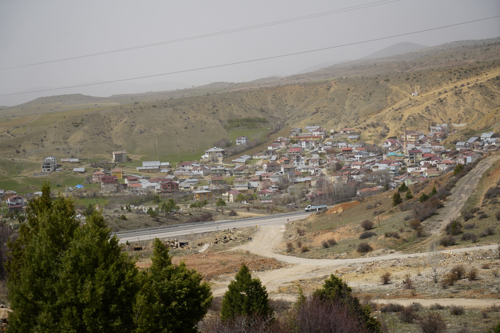Gümüşhane'de vatandaşlar köylerine yapılması planlanan köpek barınağına tepki gösterdi 8