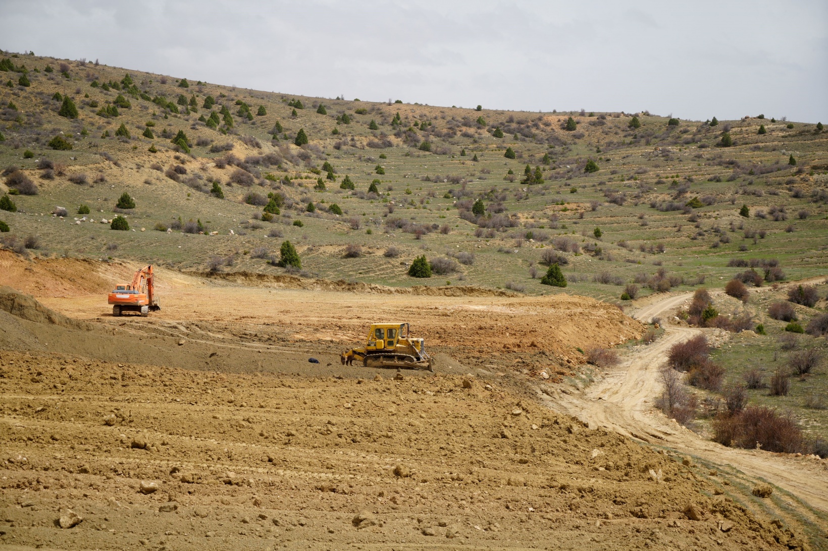 Gümüşhane'de vatandaşlar köylerine yapılması planlanan köpek barınağına tepki gösterdi 5