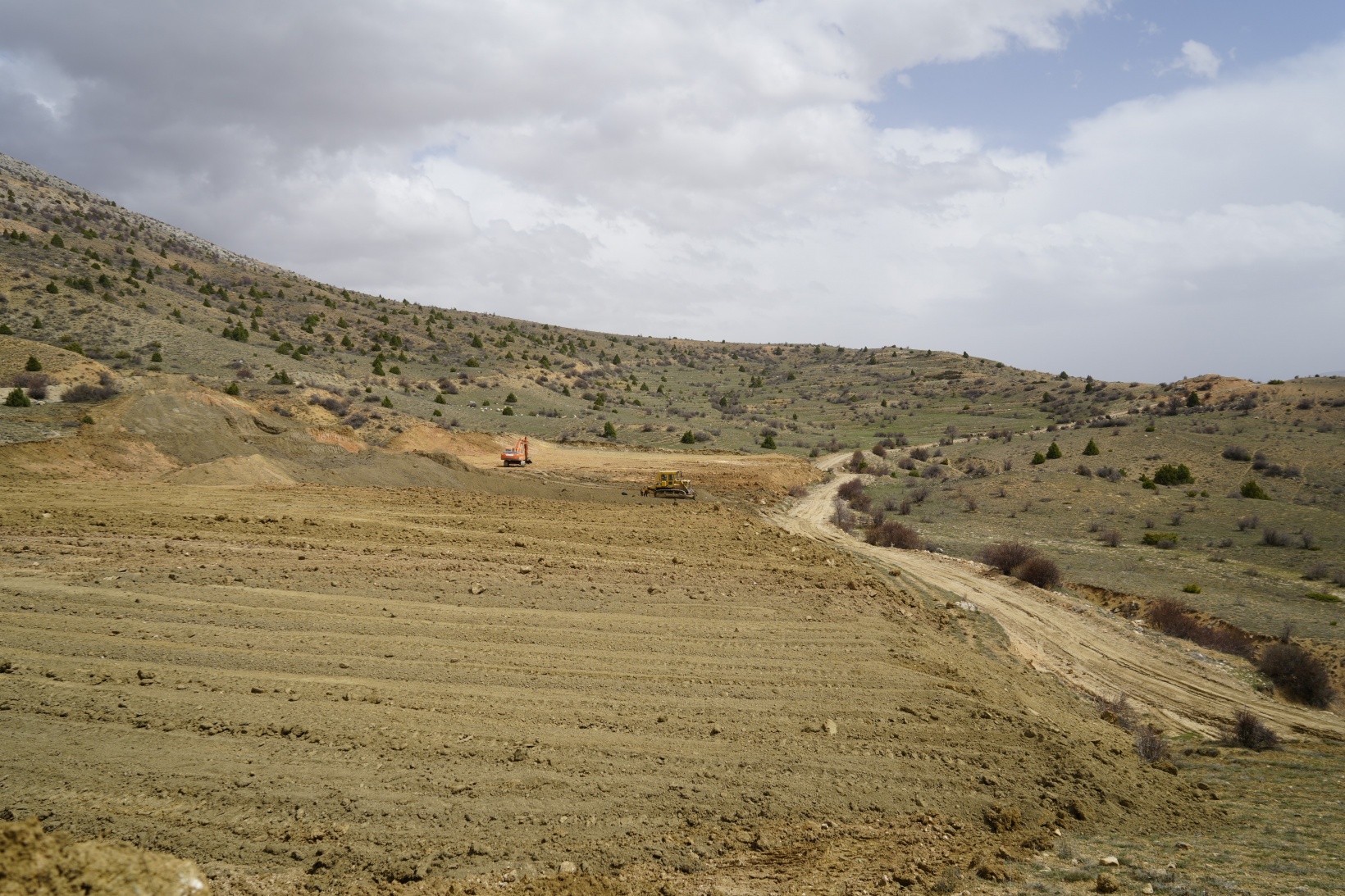 Gümüşhane'de vatandaşlar köylerine yapılması planlanan köpek barınağına tepki gösterdi 3