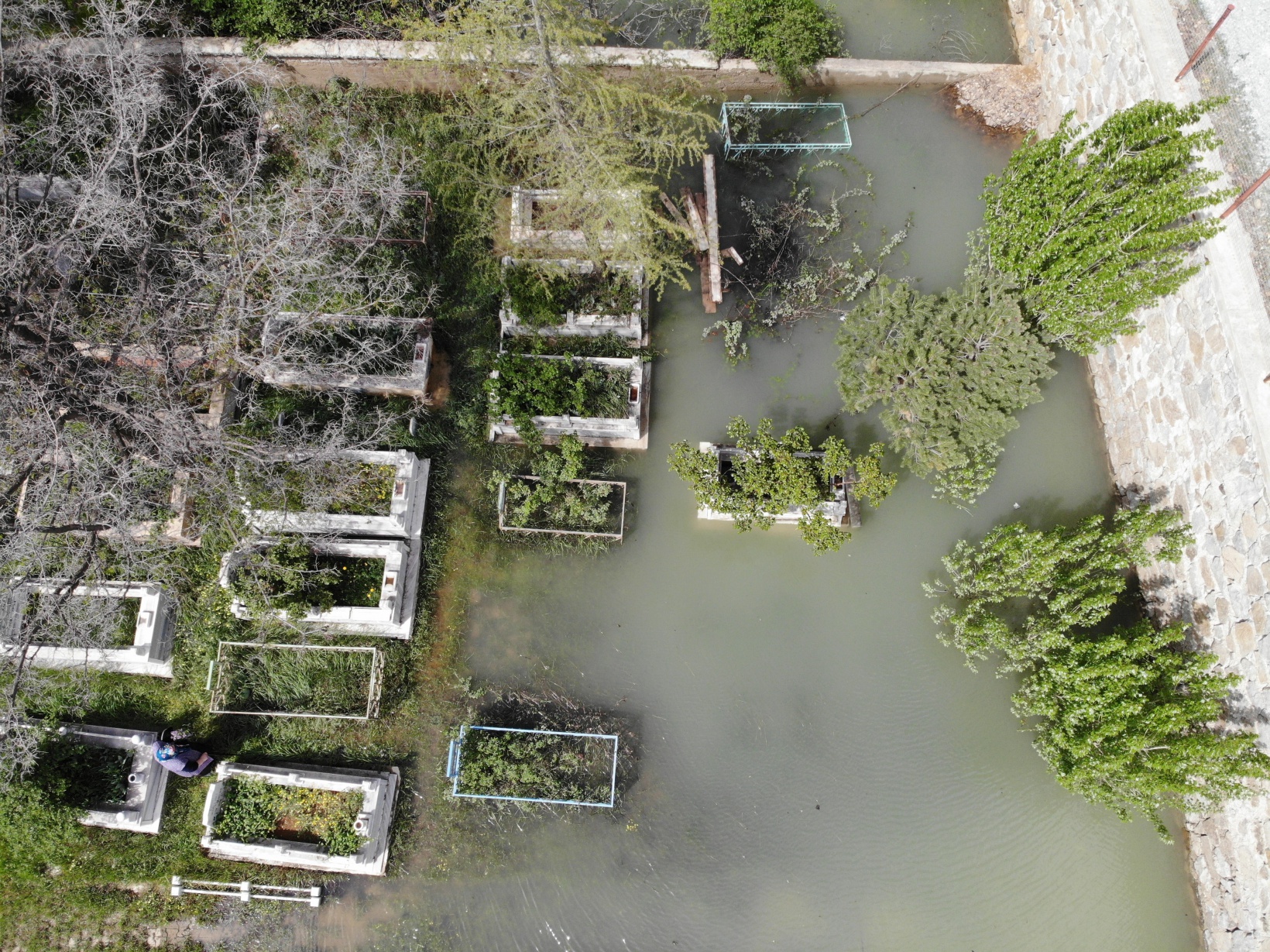 Baraj suları yükselince mezarlıklar sular altında kaldı 10