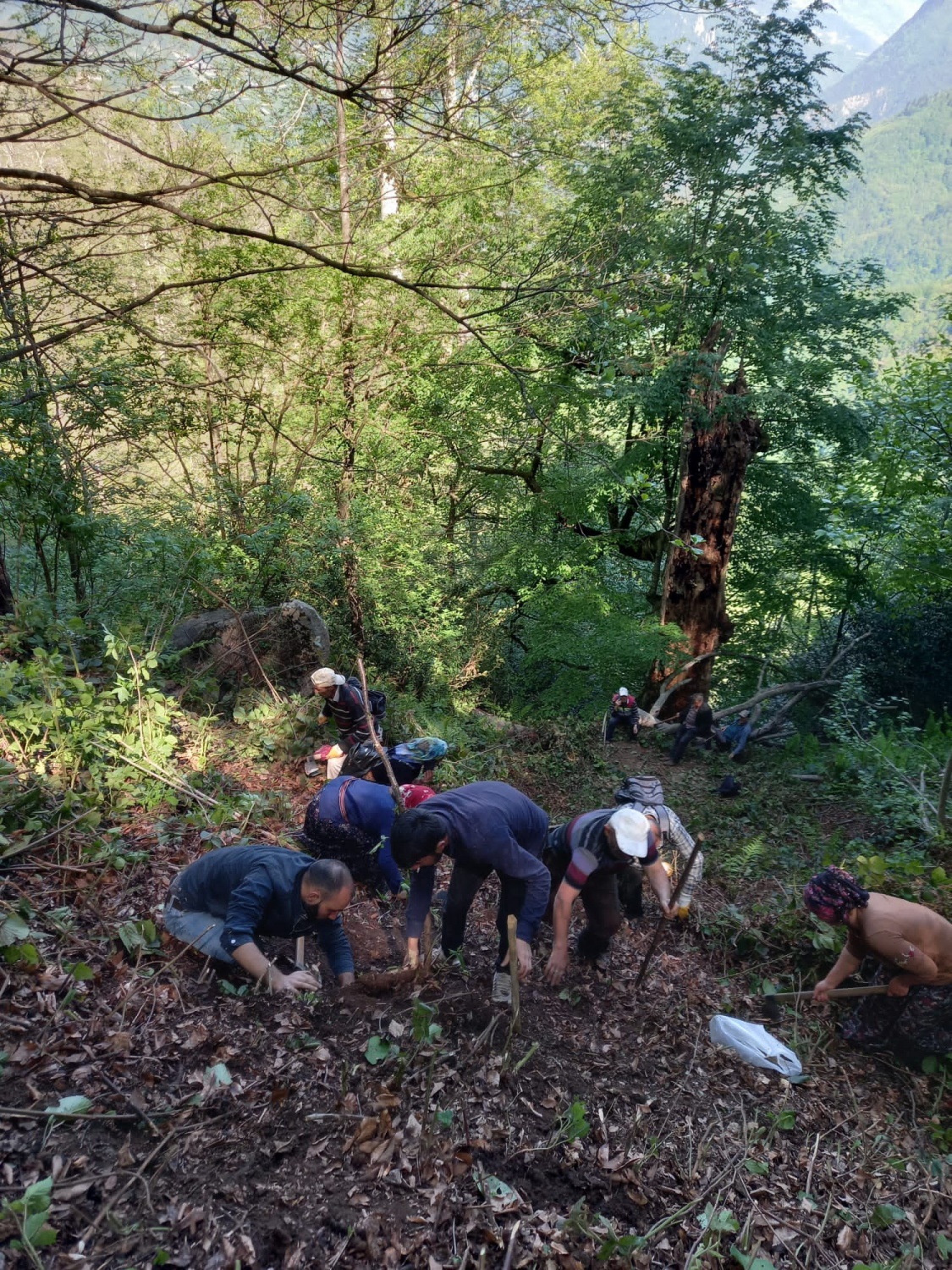Köylüler ormanlık arazide ot toplarken insan kafatası ve elbiseler buldu 10