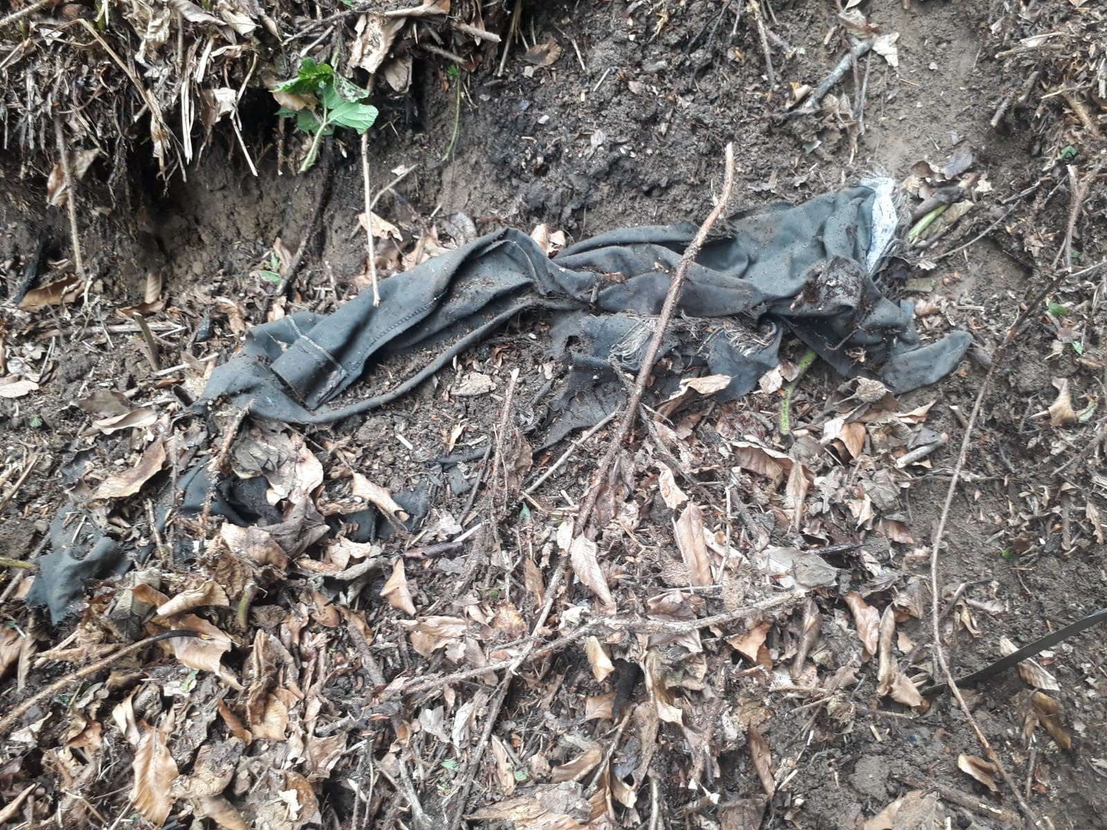 Köylüler ormanlık arazide ot toplarken insan kafatası ve elbiseler buldu 9