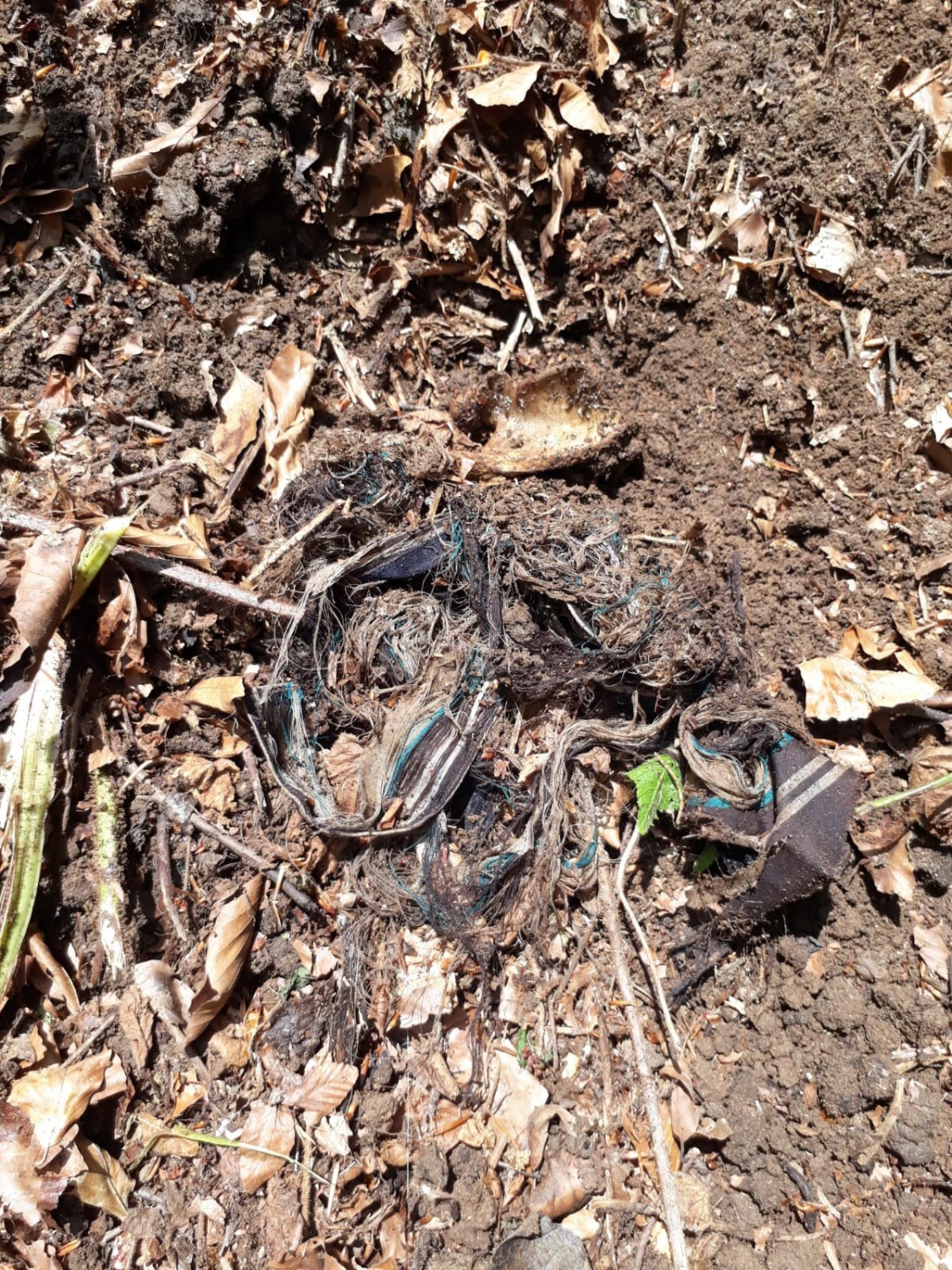 Köylüler ormanlık arazide ot toplarken insan kafatası ve elbiseler buldu 5