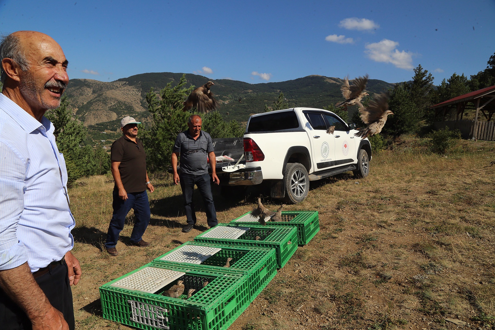 Torul’da derelere alabalık, doğaya keklik bırakıldı 6