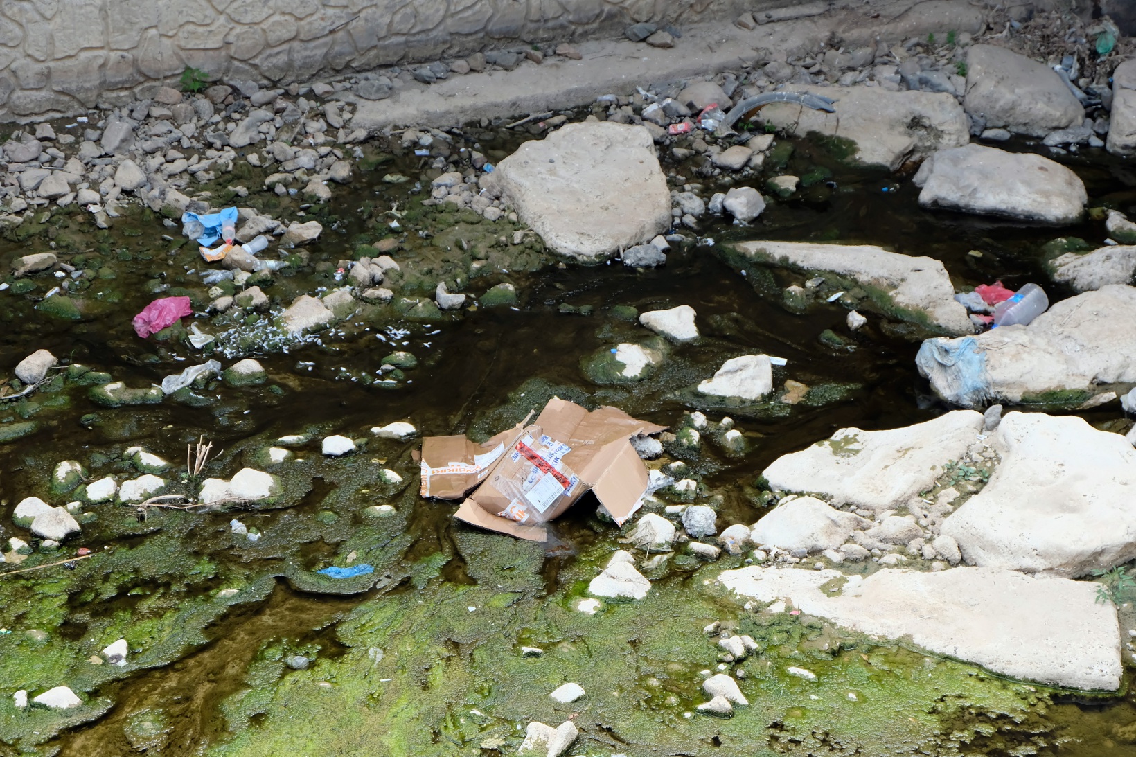 Suları çekilince Harşit Çayı çöplüğe döndü 11