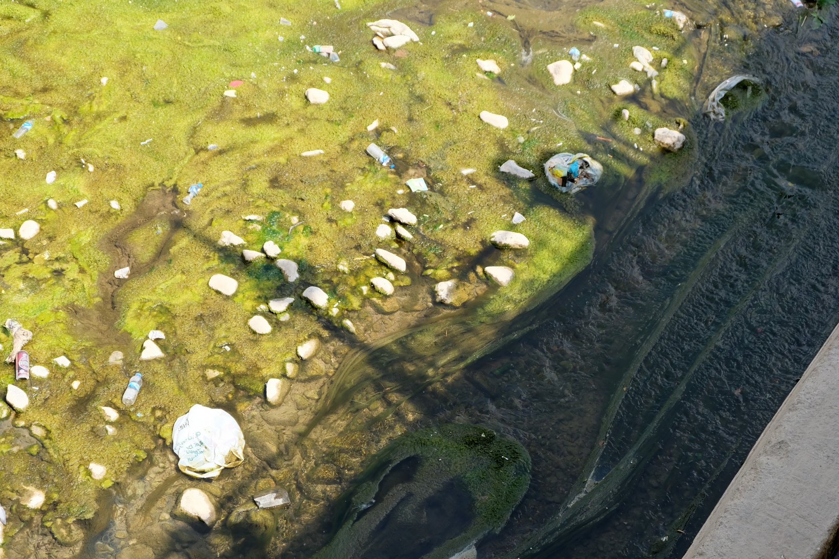 Suları çekilince Harşit Çayı çöplüğe döndü 12