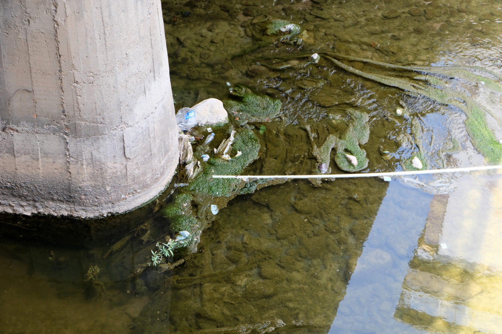 Suları çekilince Harşit Çayı çöplüğe döndü 5