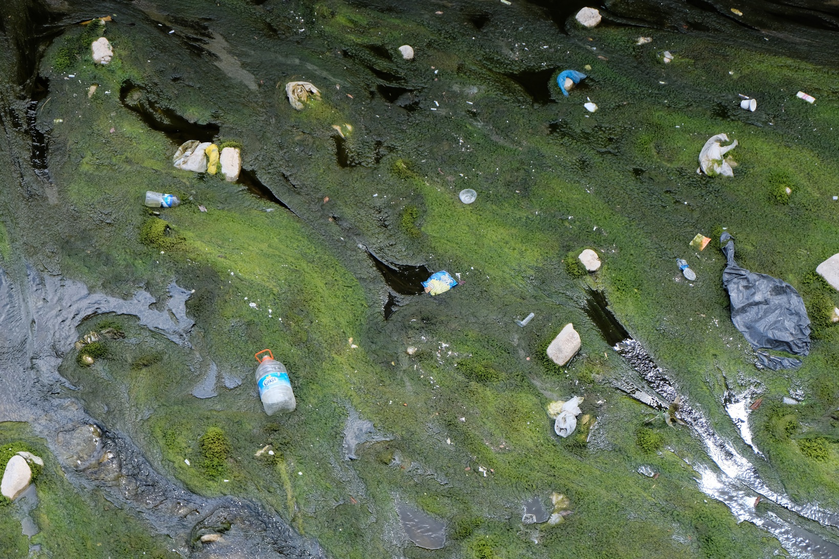 Suları çekilince Harşit Çayı çöplüğe döndü 17