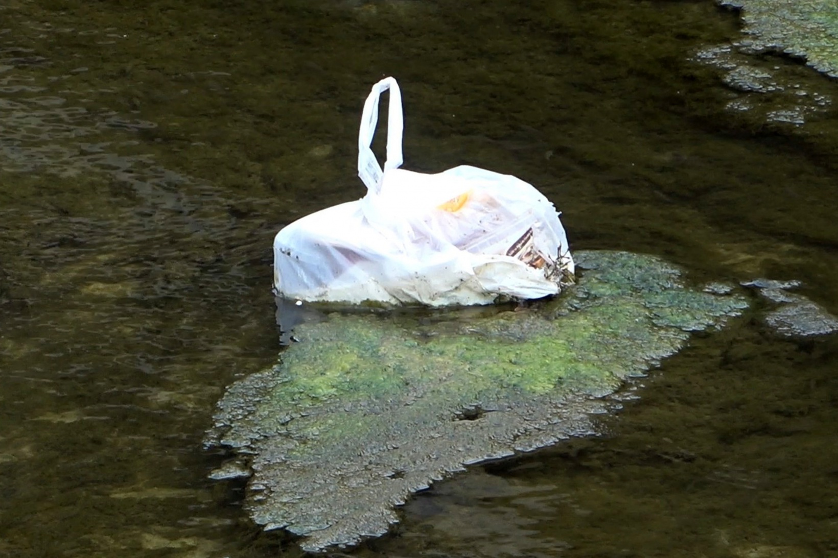 Suları çekilince Harşit Çayı çöplüğe döndü 1
