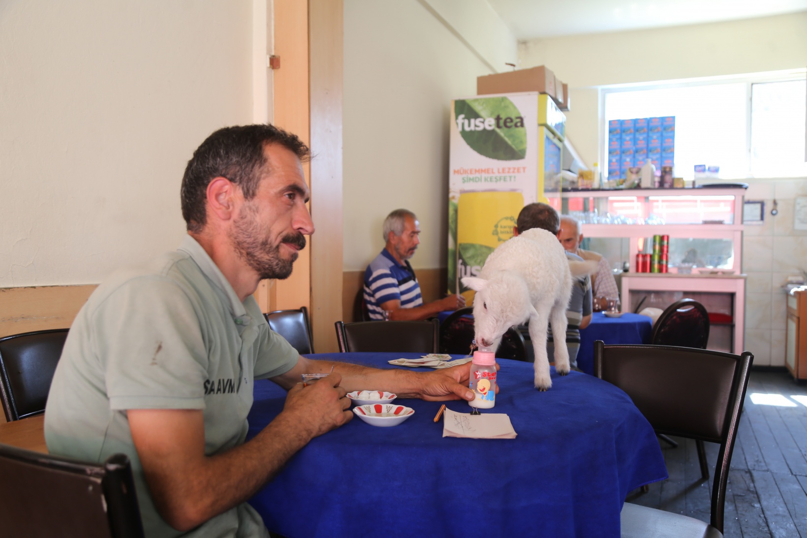 Bir çift ayakkabıyla takas ettiği kuzu yanından ayrılmıyor 6