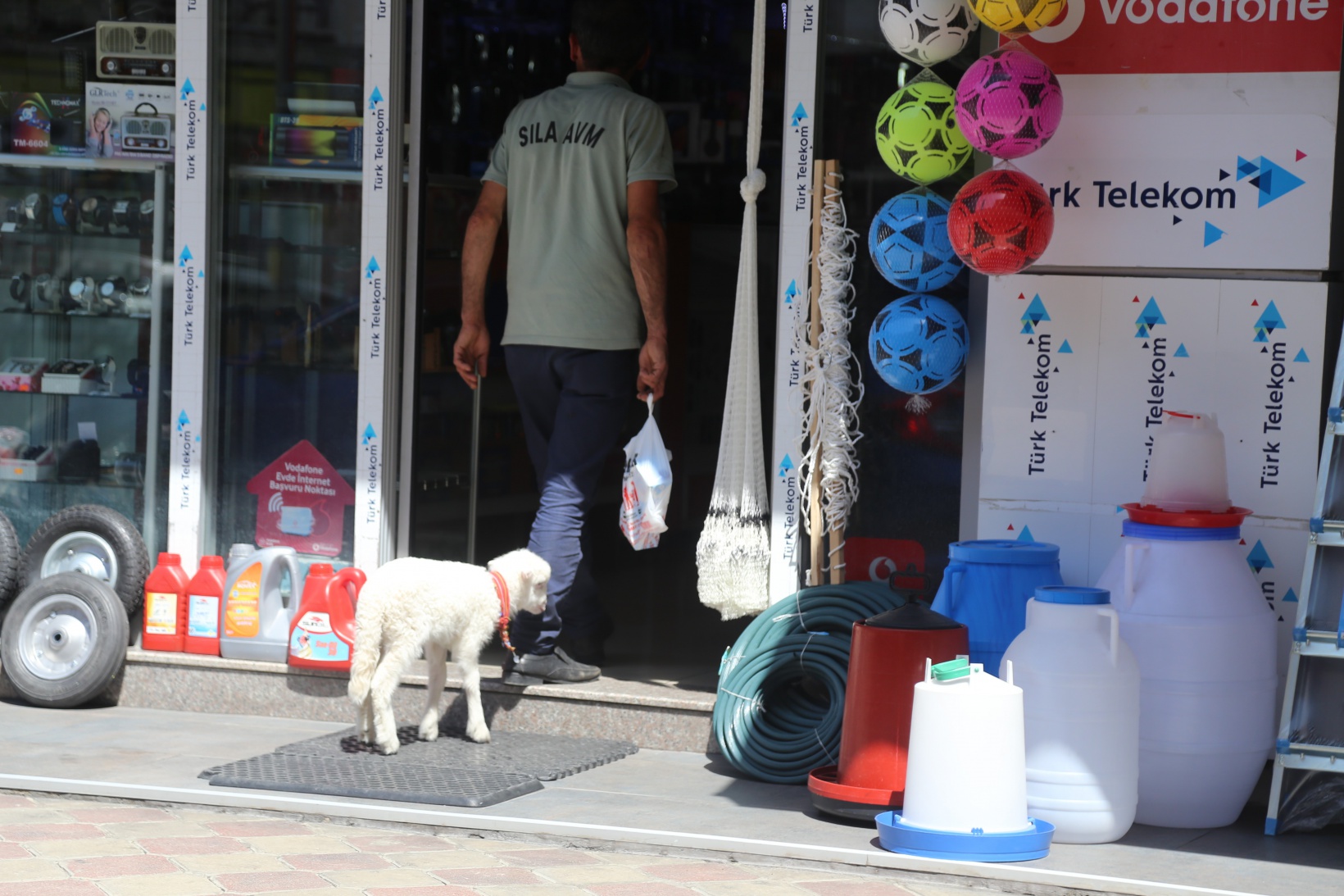 Bir çift ayakkabıyla takas ettiği kuzu yanından ayrılmıyor 10
